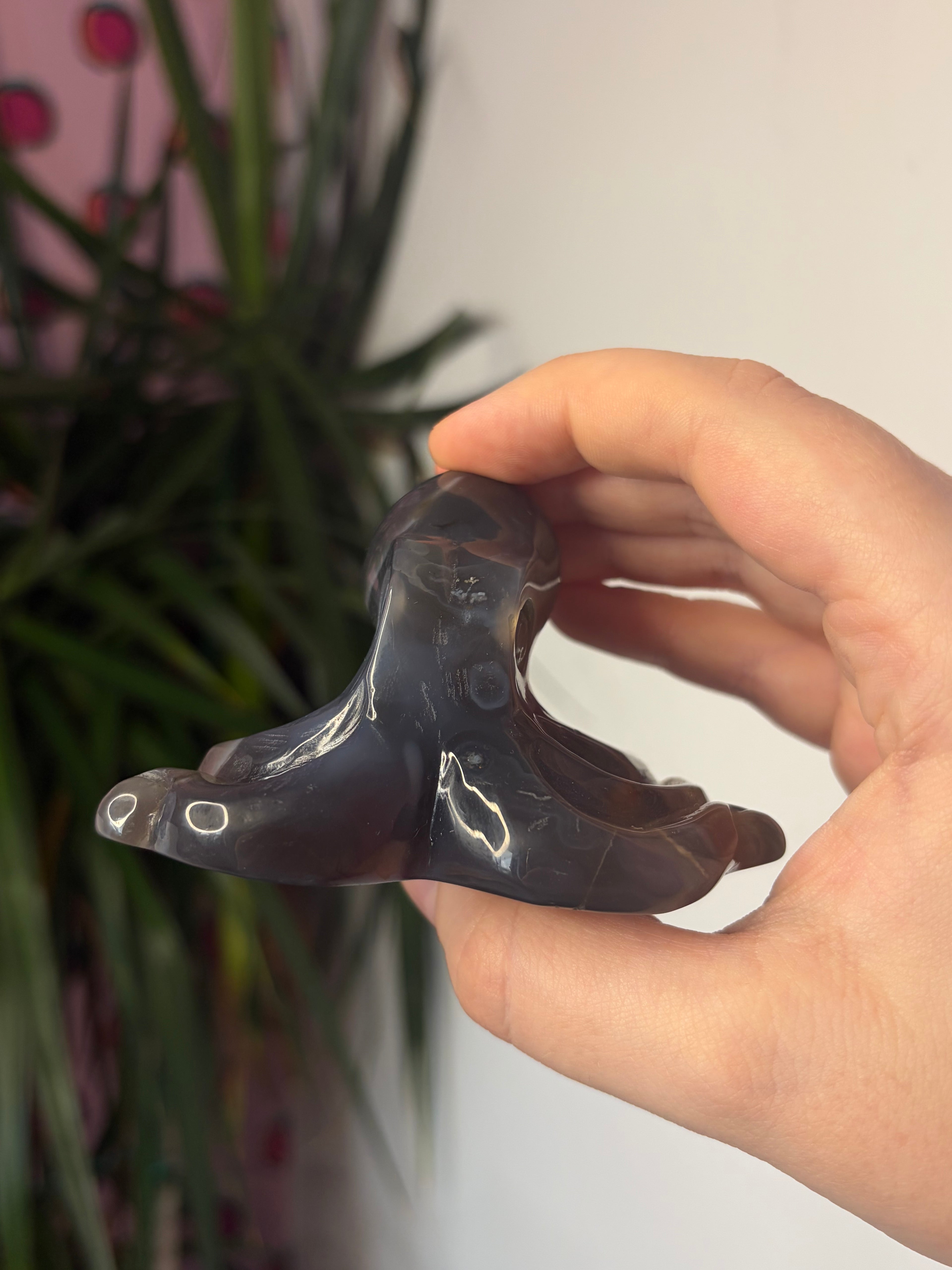 Mozambique Agate Octopus