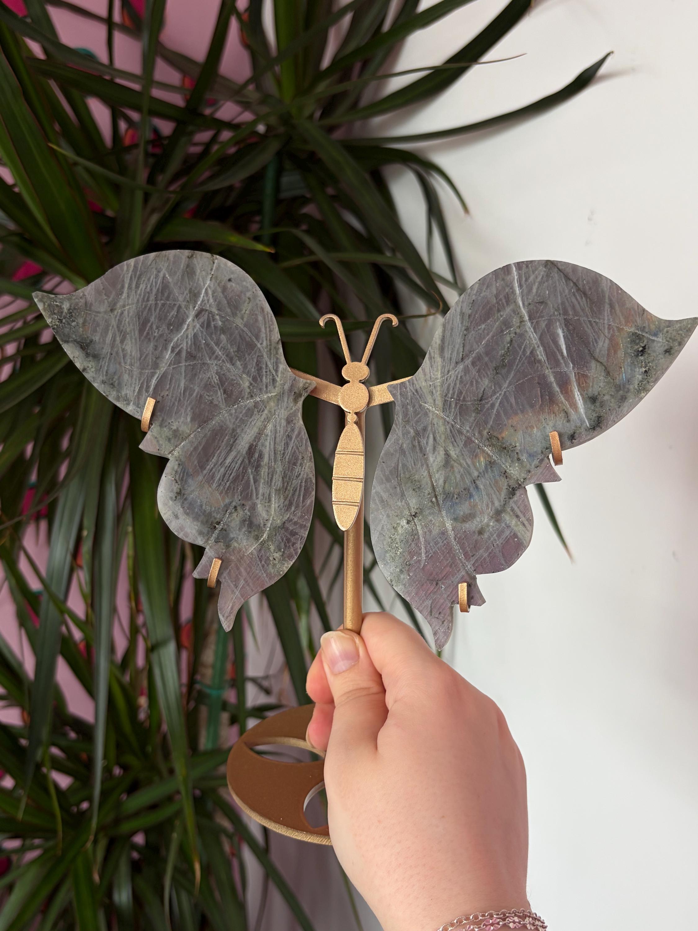 Labradorite Butterfly Wings with Custom Stand
