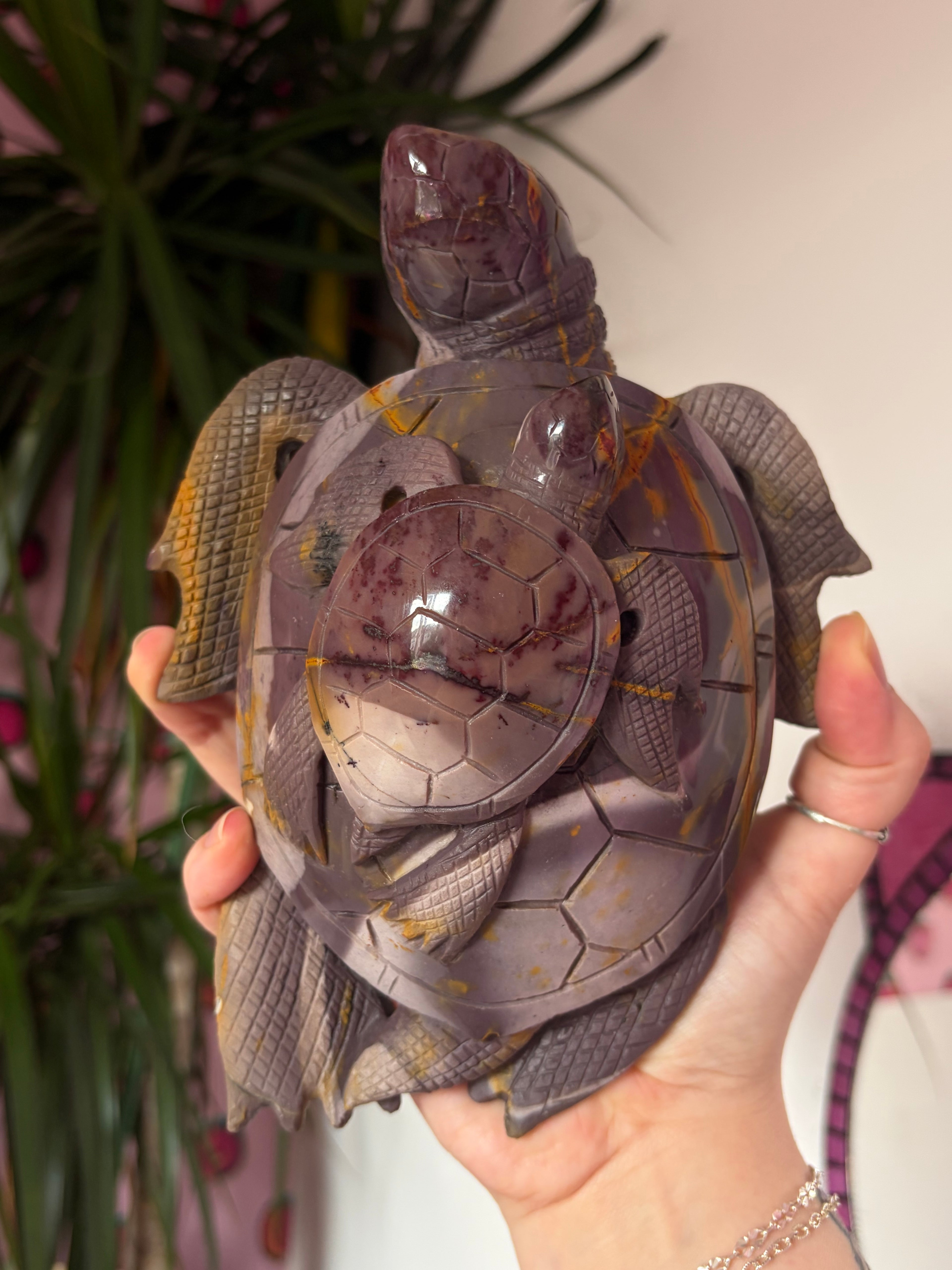Big Mookaite Turtle on Custom stand
