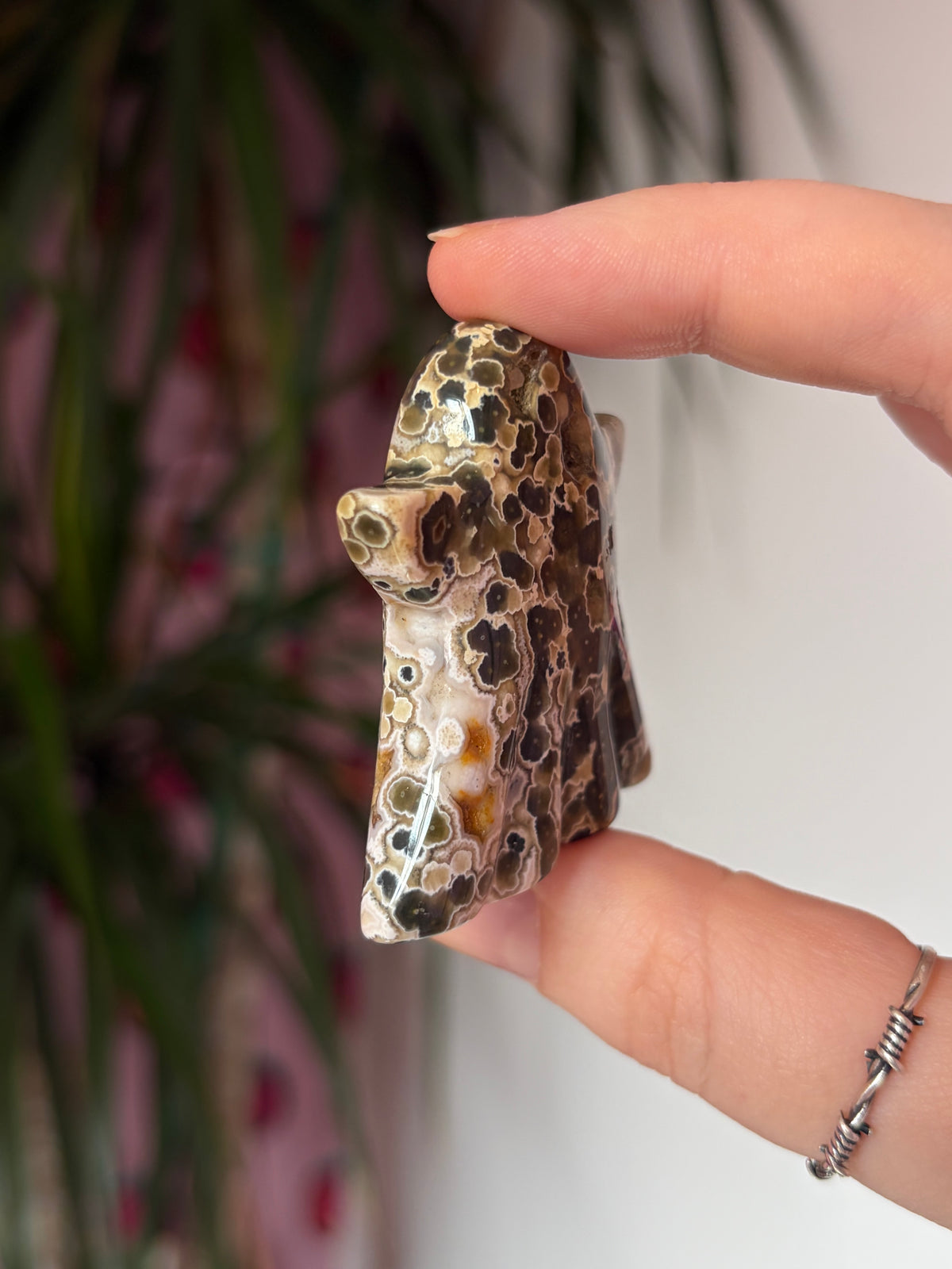 Orbicular Ocean Jasper Ghost