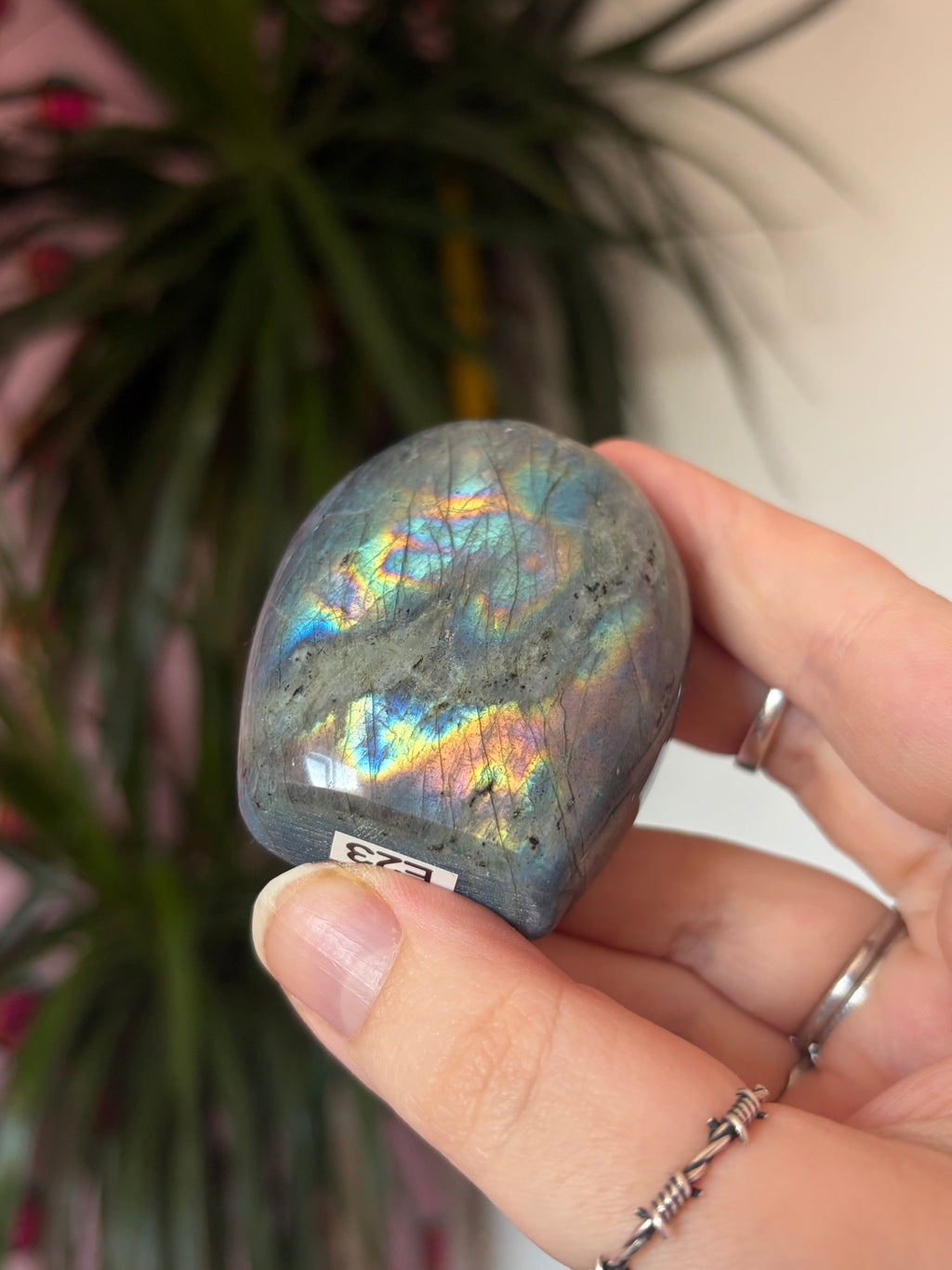 A Grade Labradorite Freeform