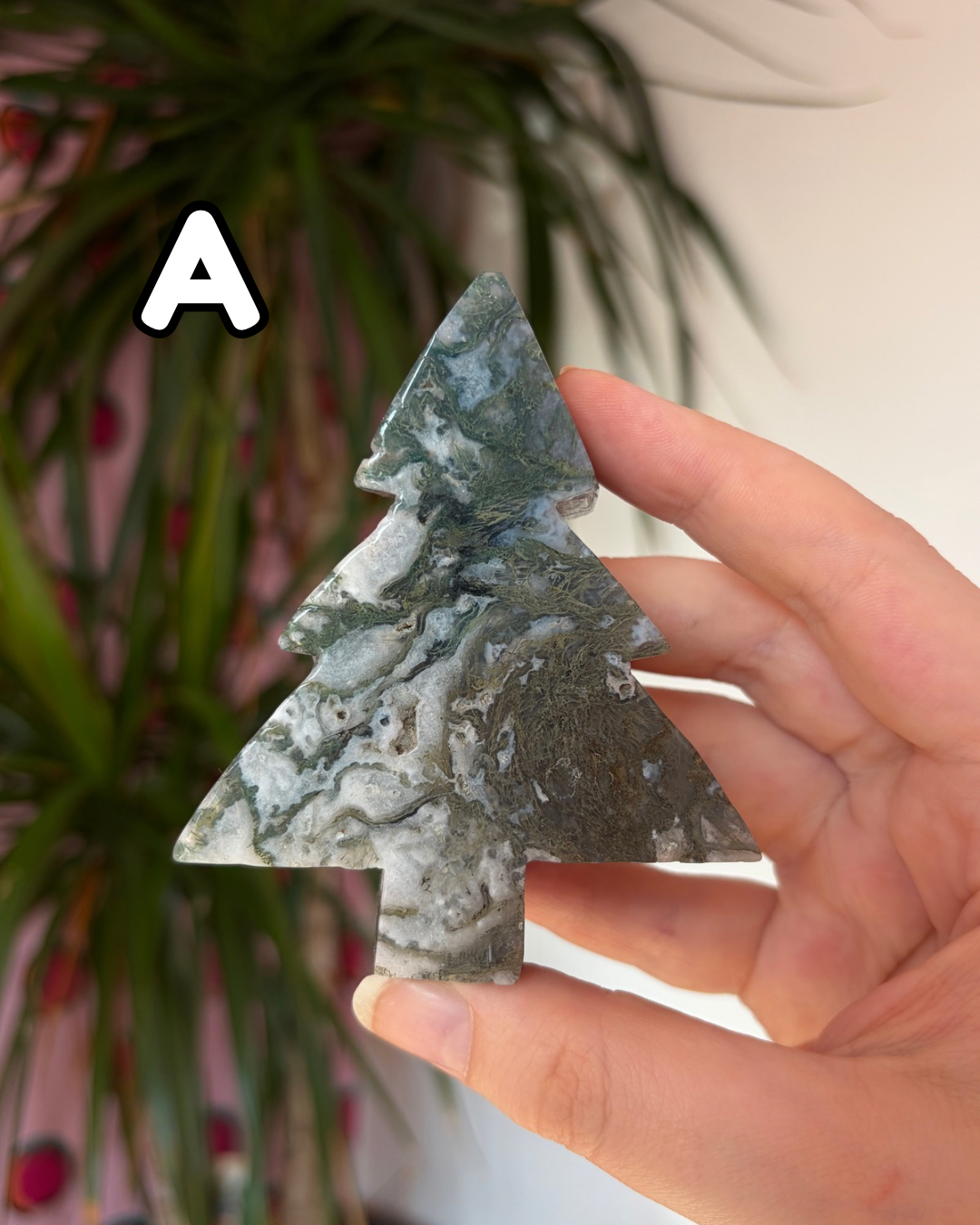 Moss agate pine trees