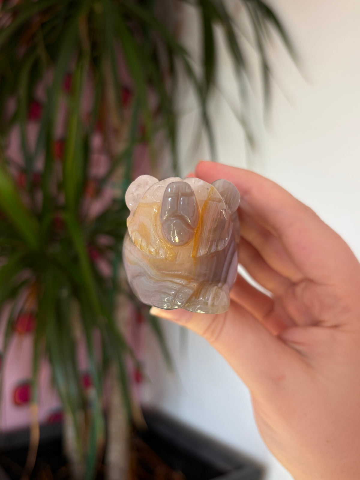 Druzy agate bear