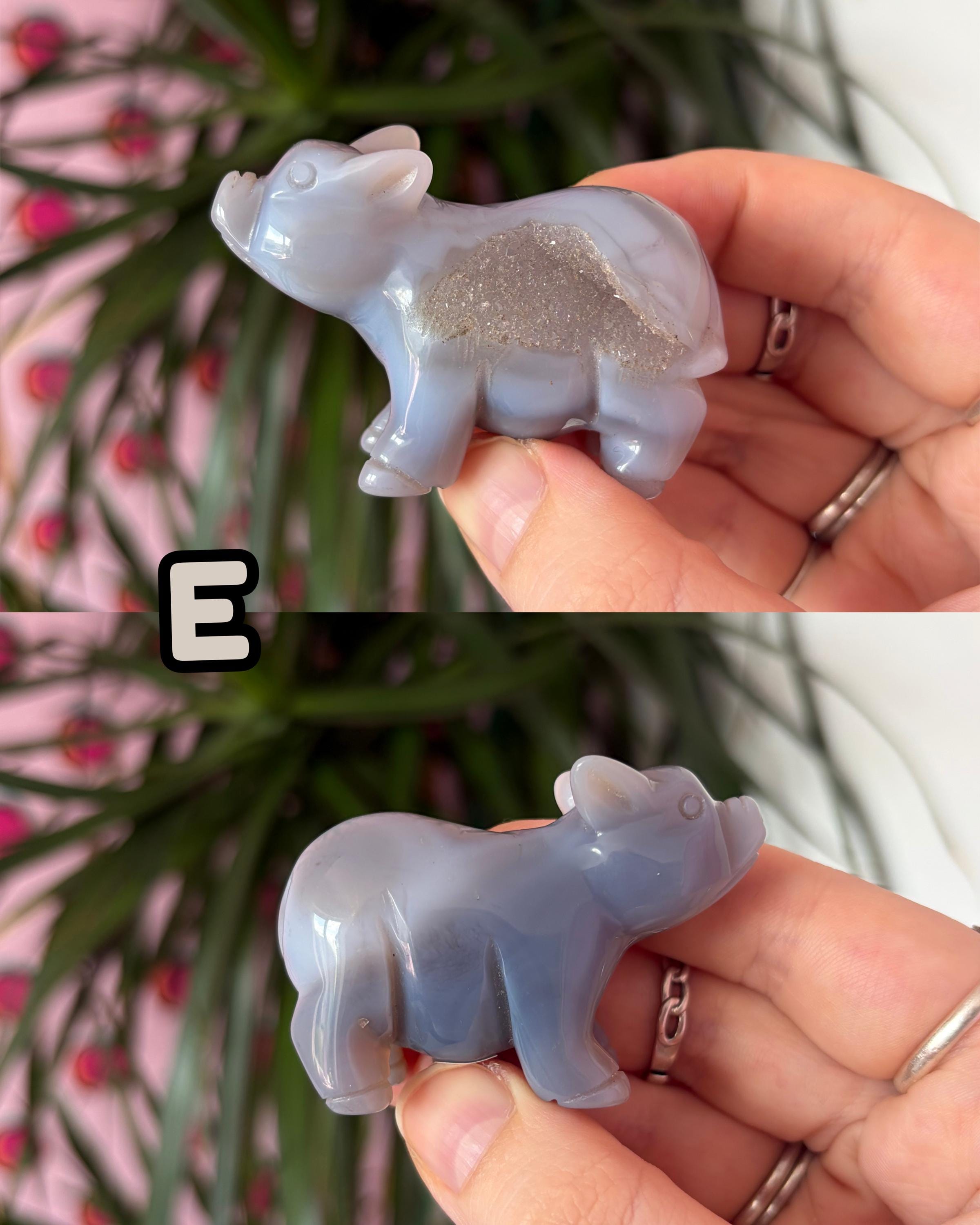 Druzy Agate Pigs