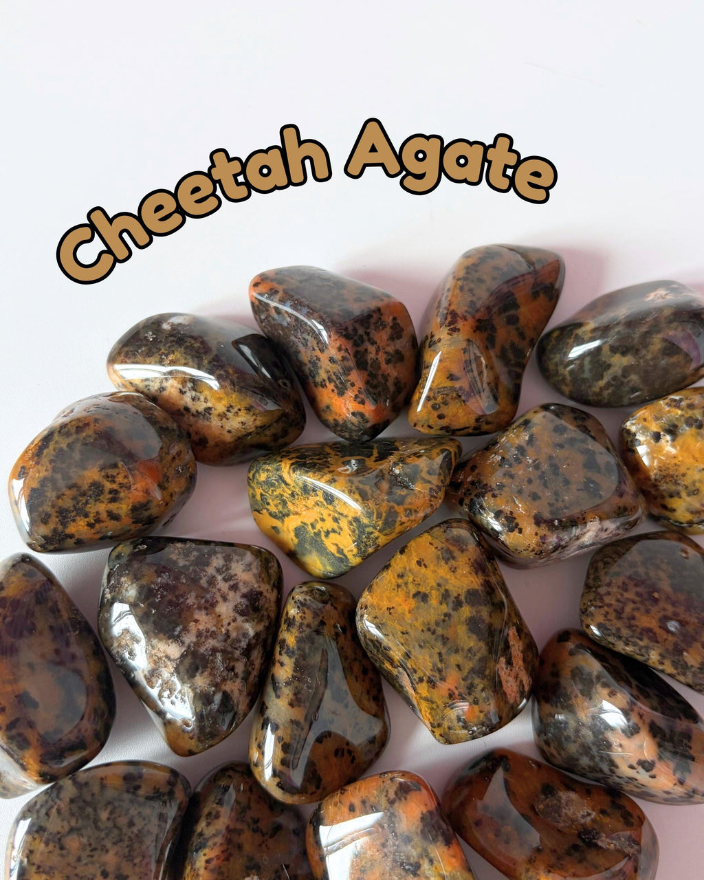 Cheetah Agate Tumblestones