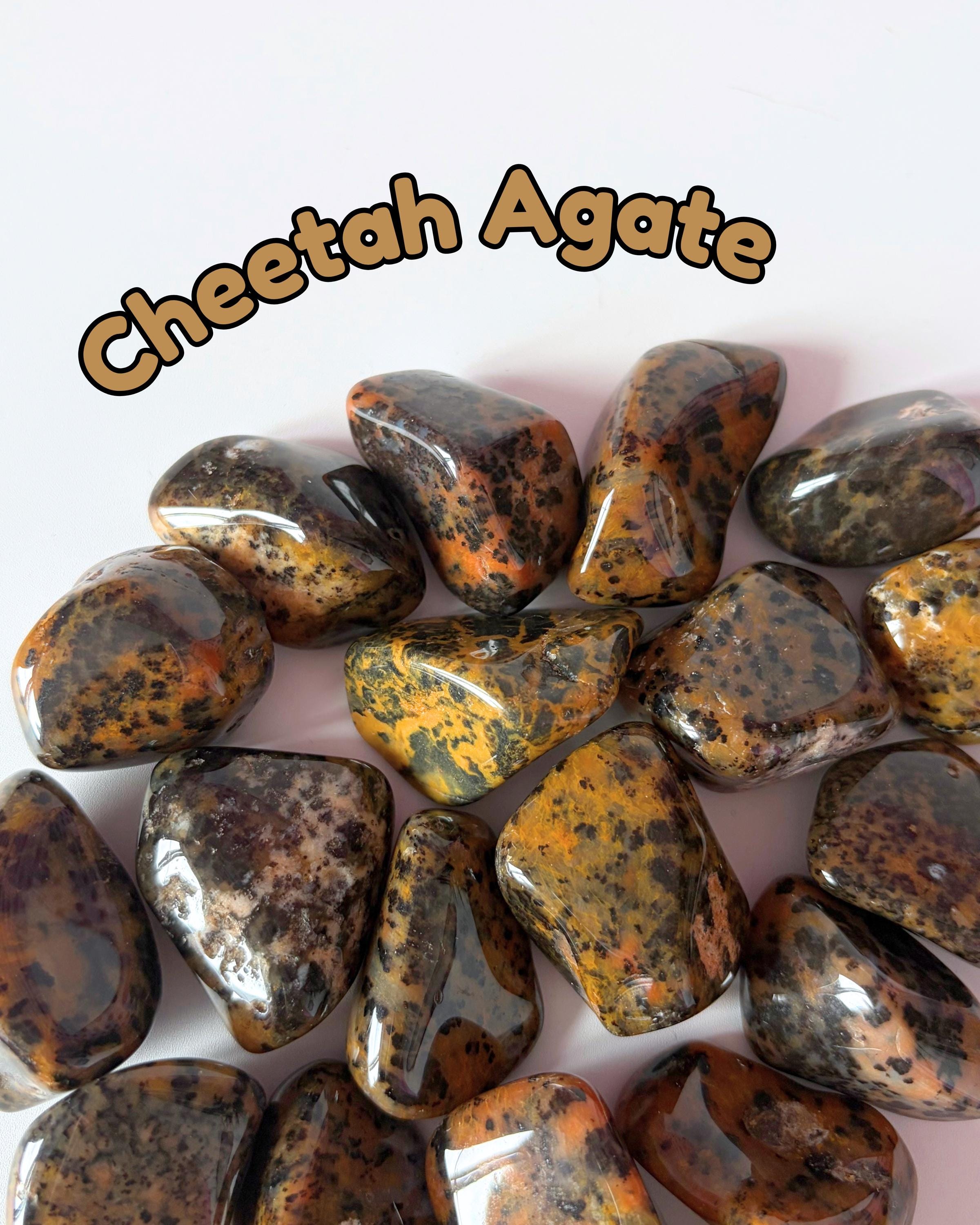 Cheetah Agate Tumblestones
