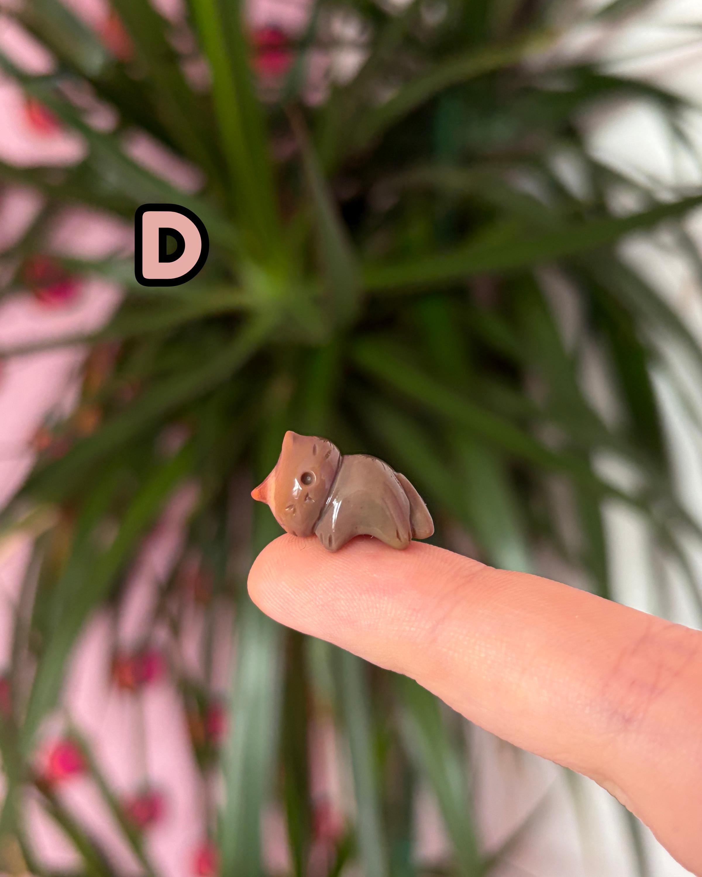TINY Alashan Agate Kittens