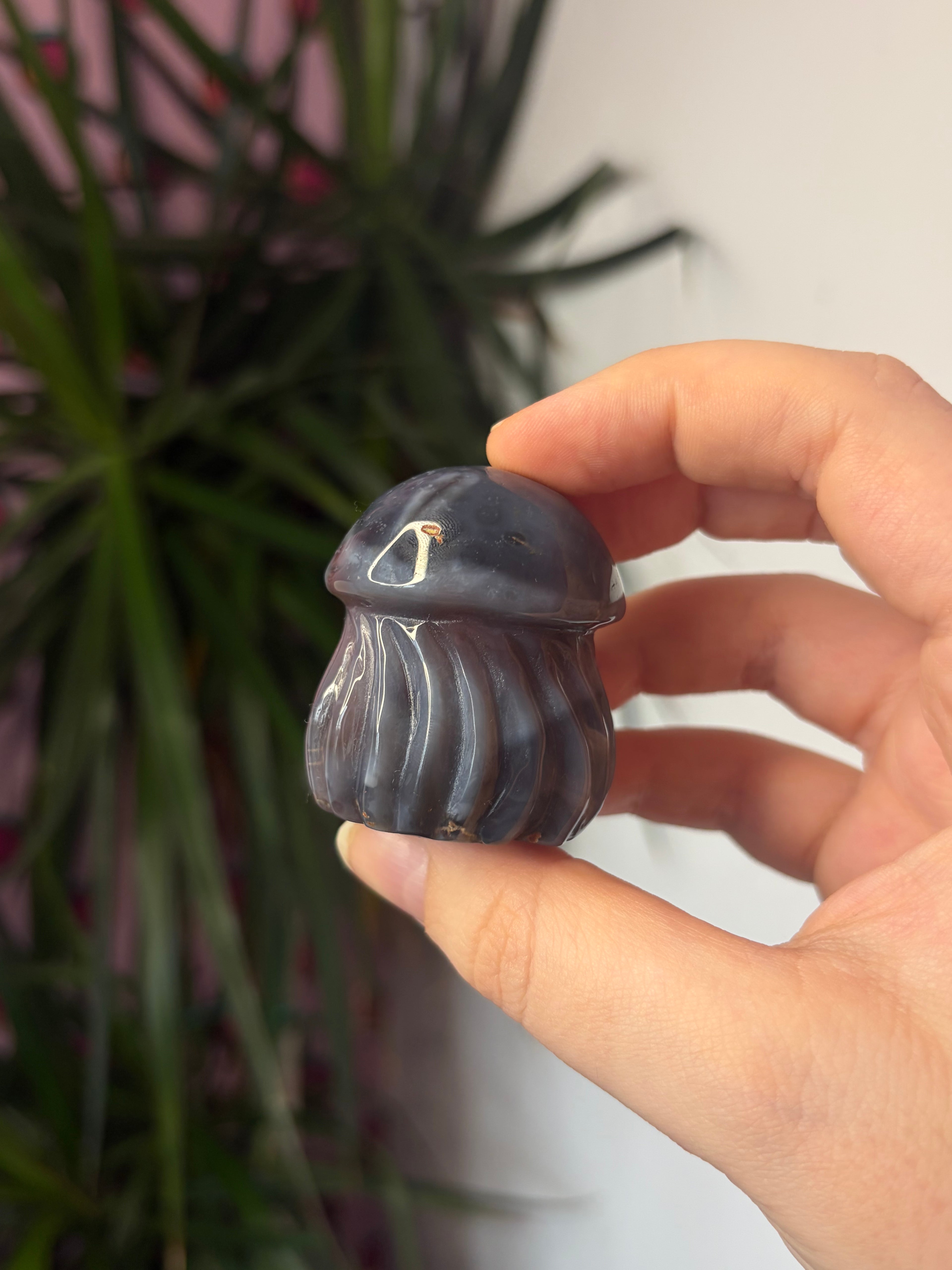 Mozambique Agate Jellyfish