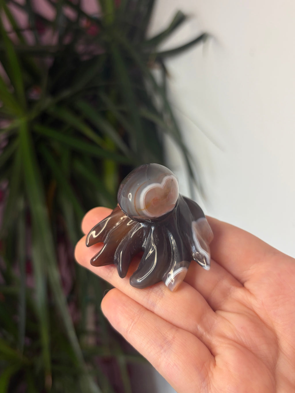 Mozambique Agate Octopus