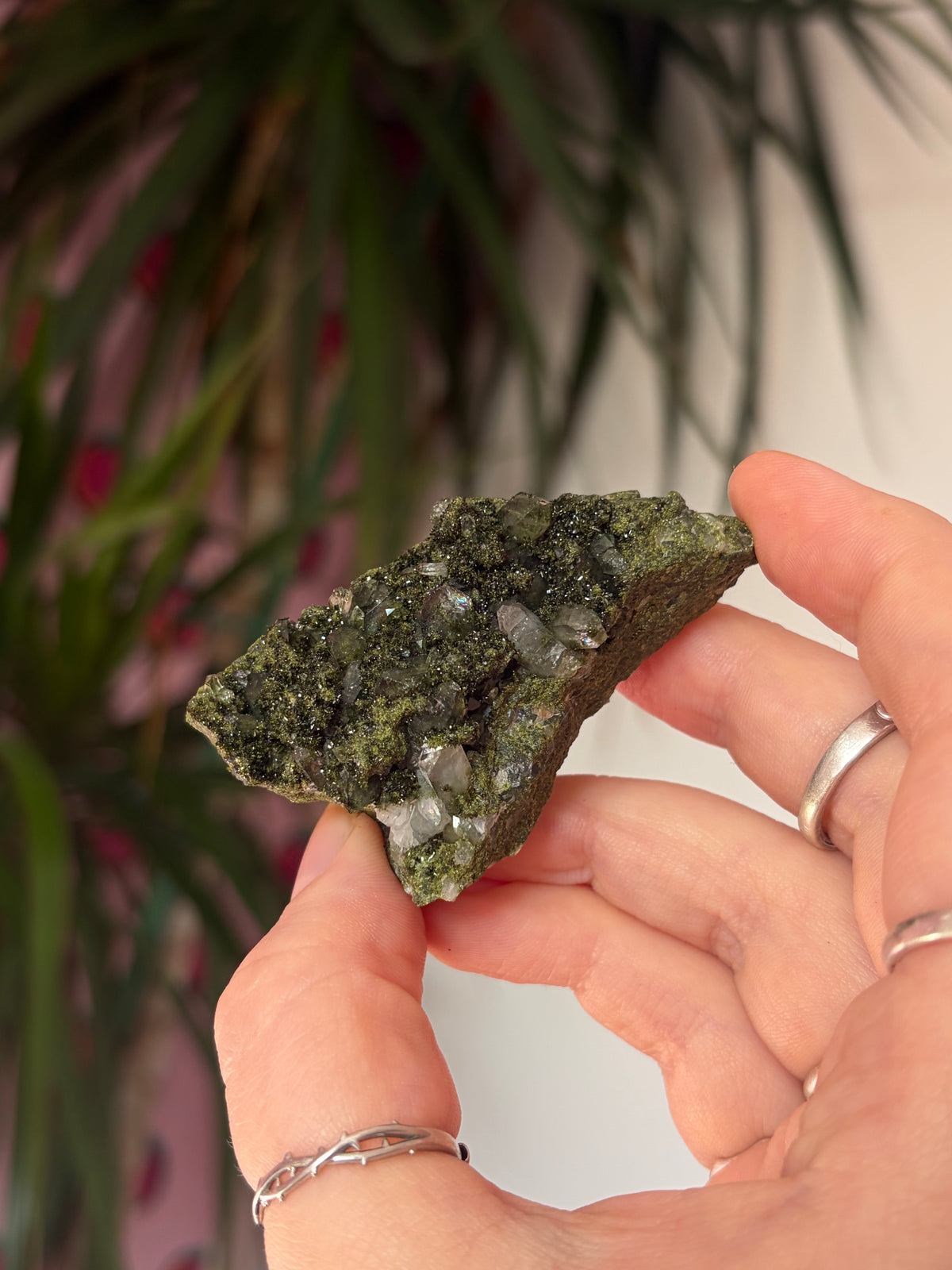 Forest Epidote Specimen