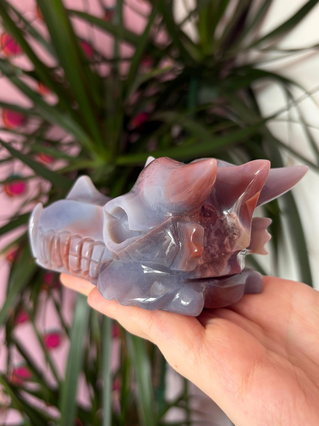 Sea Jasper Dragon Skull