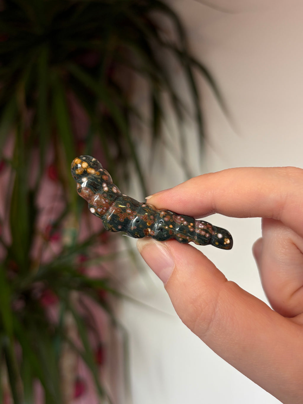 Ocean Jasper caterpillar