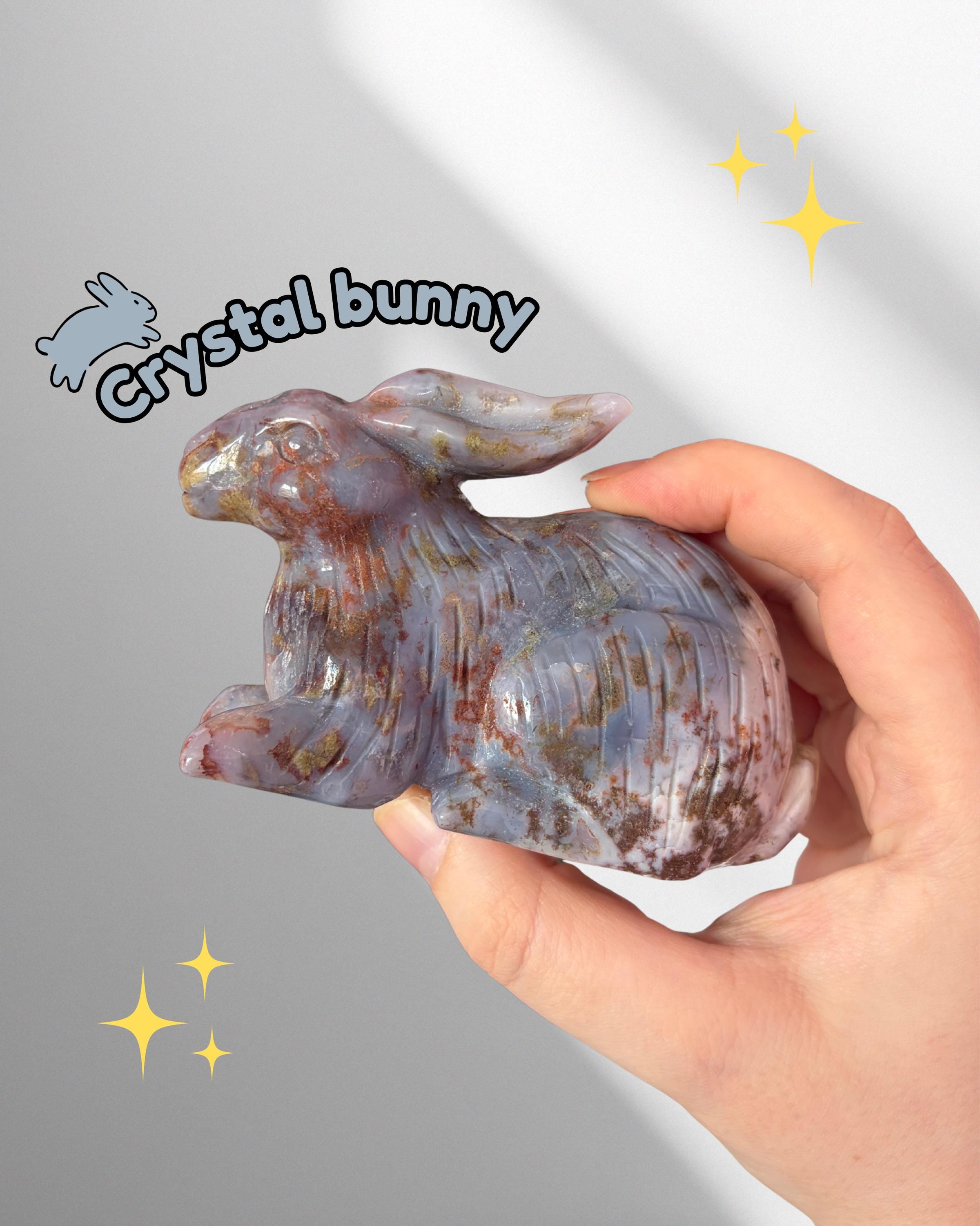 Sea Jasper Rabbit