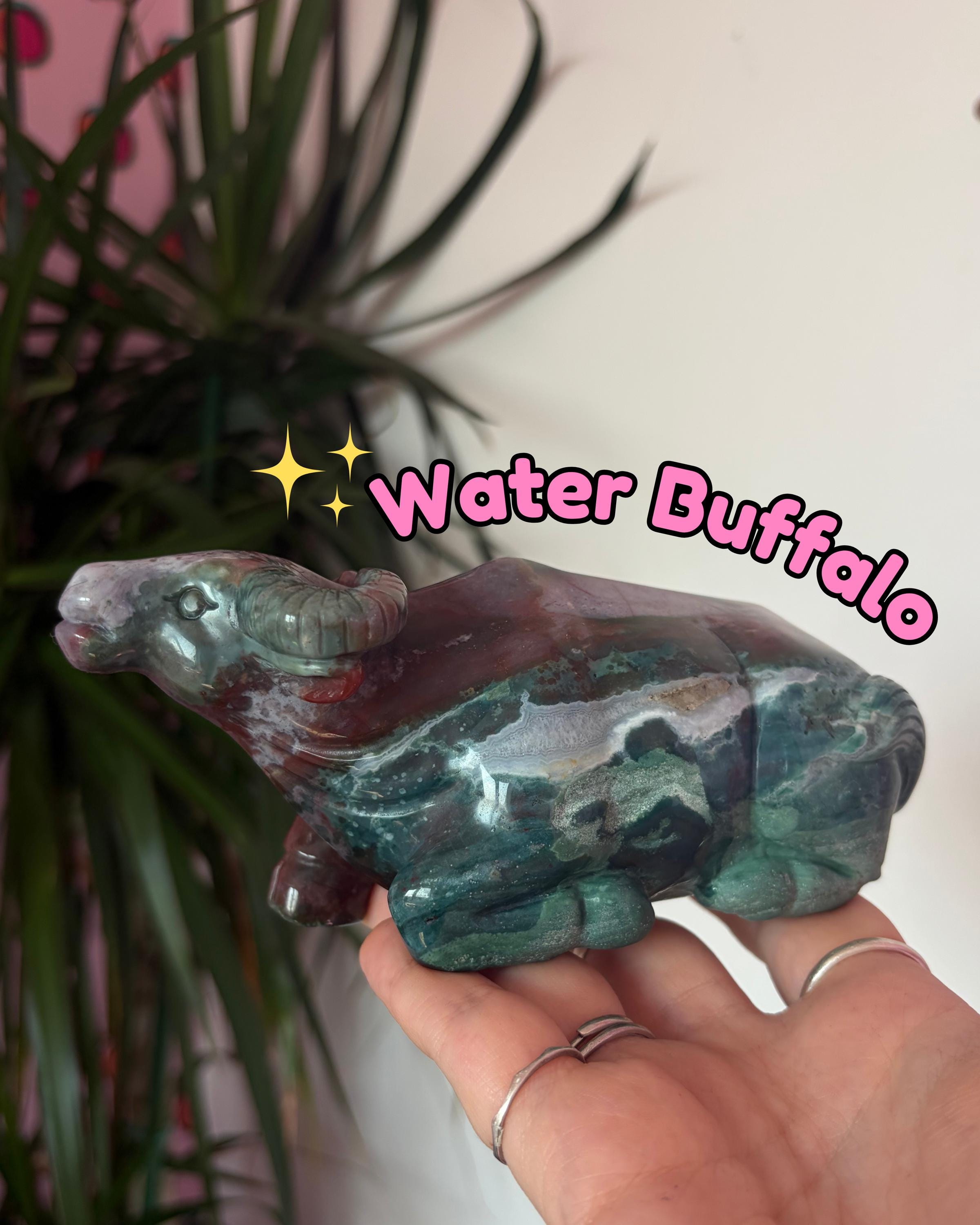 Sea Jasper Water Buffalo