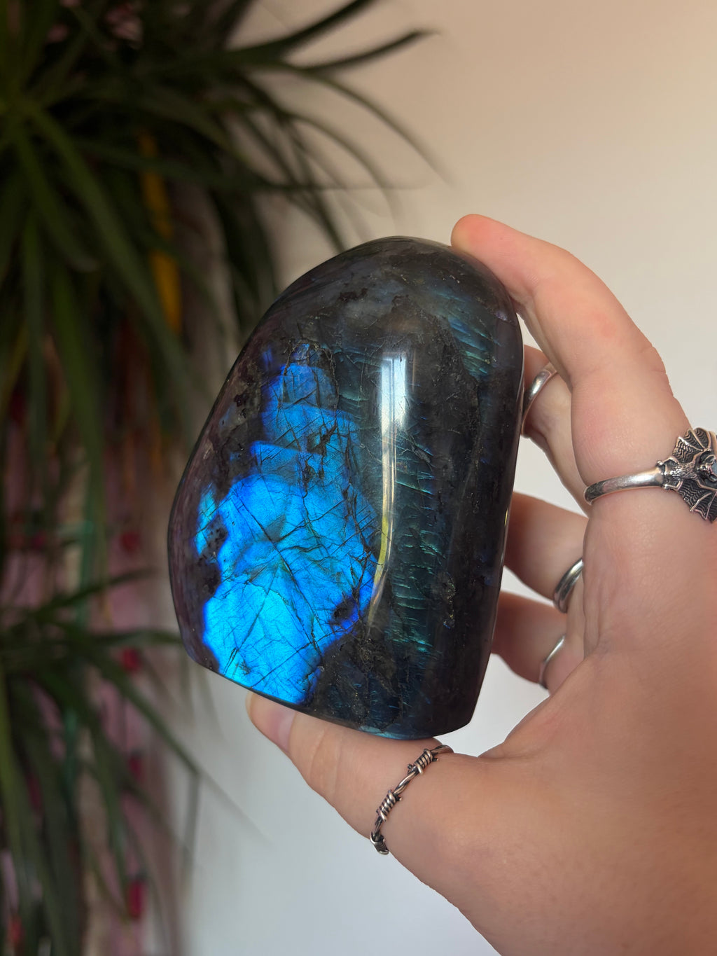 A Grade Labradorite Freeform
