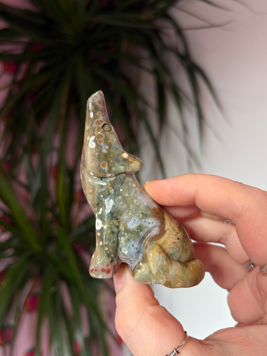 Ocean Jasper Howling Wolf