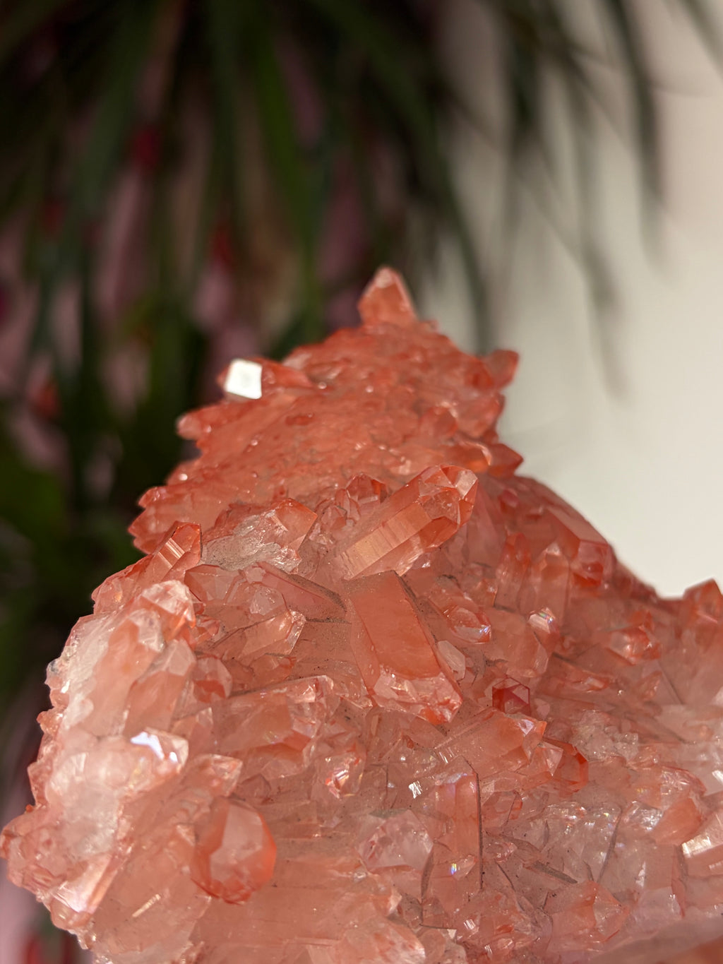Sparkly Pink Lithium on custom stand