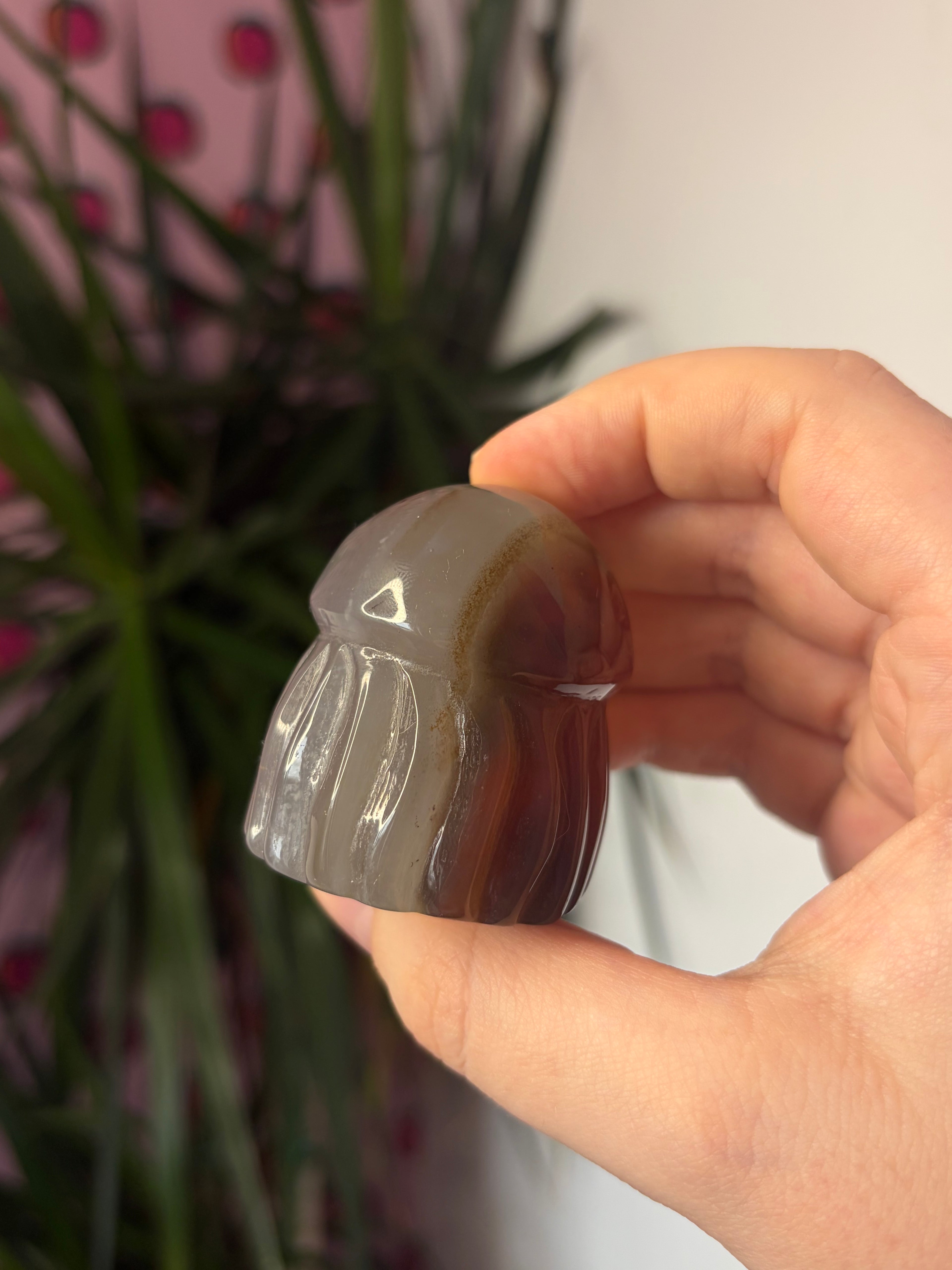 Mozambique Agate Jellyfish