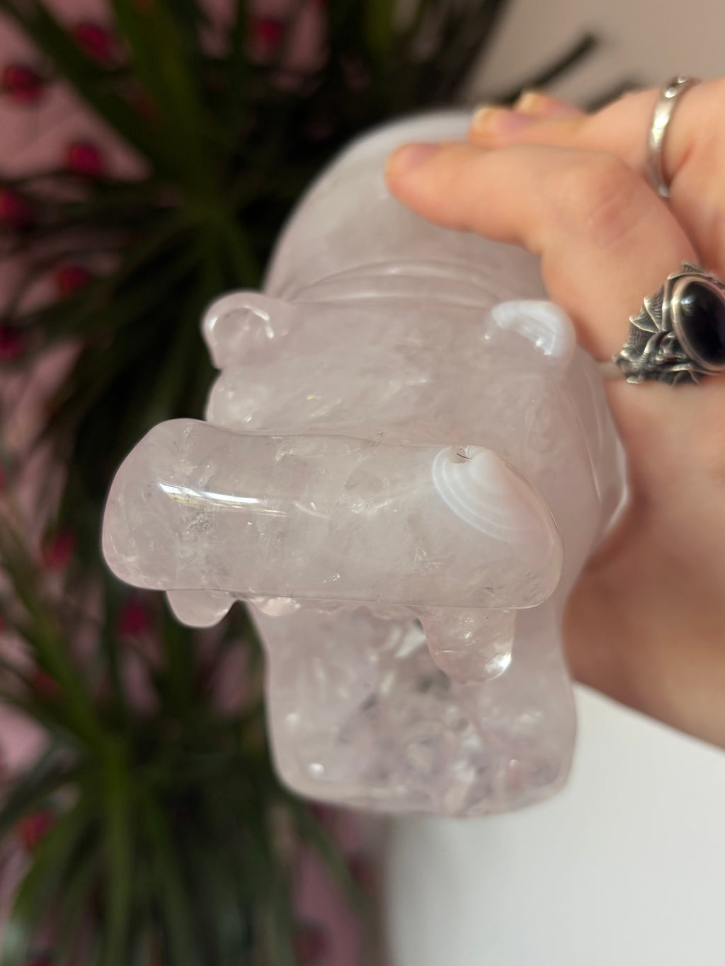 Druzy Agate Hippo