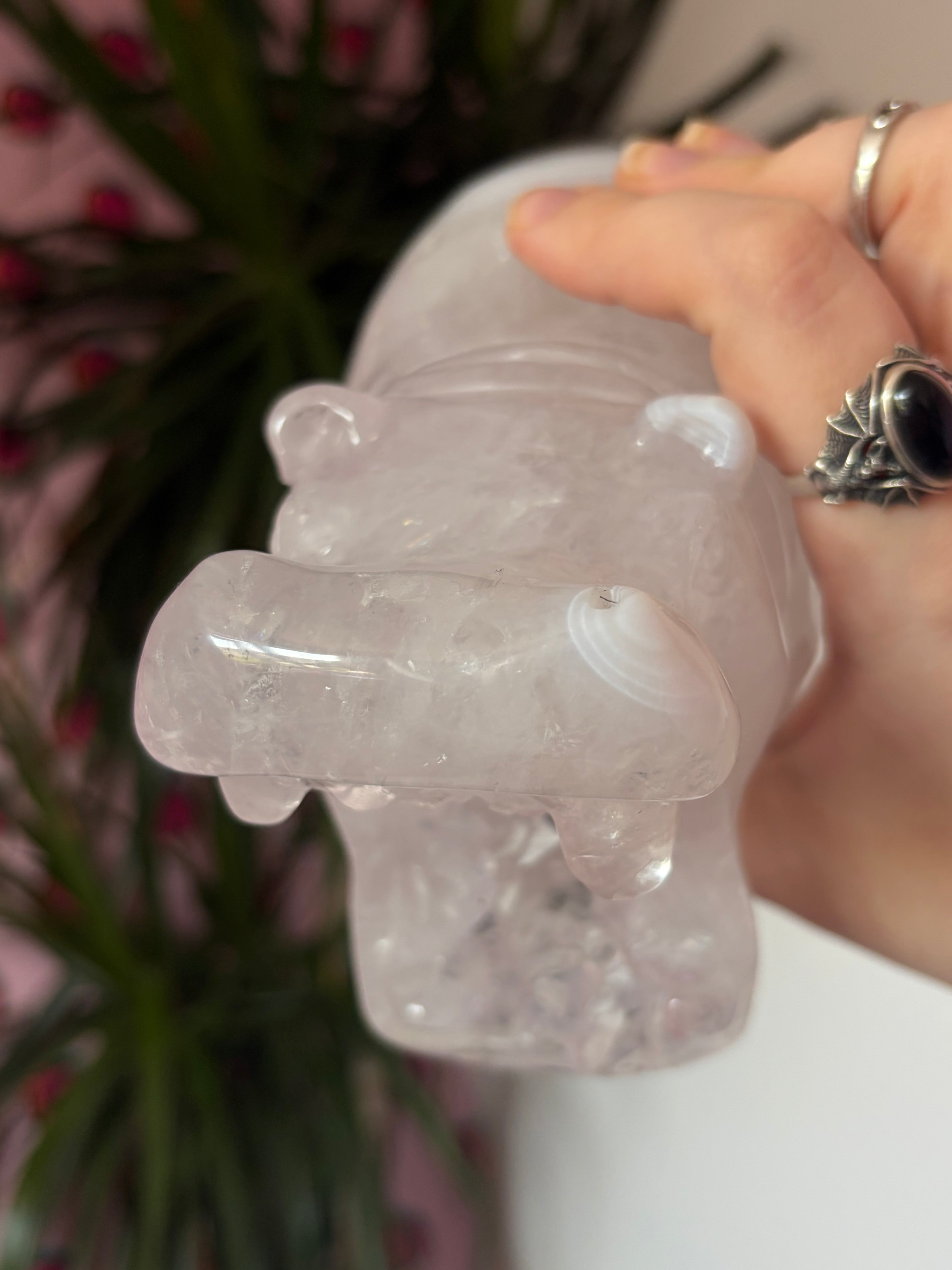 Druzy Agate Hippo