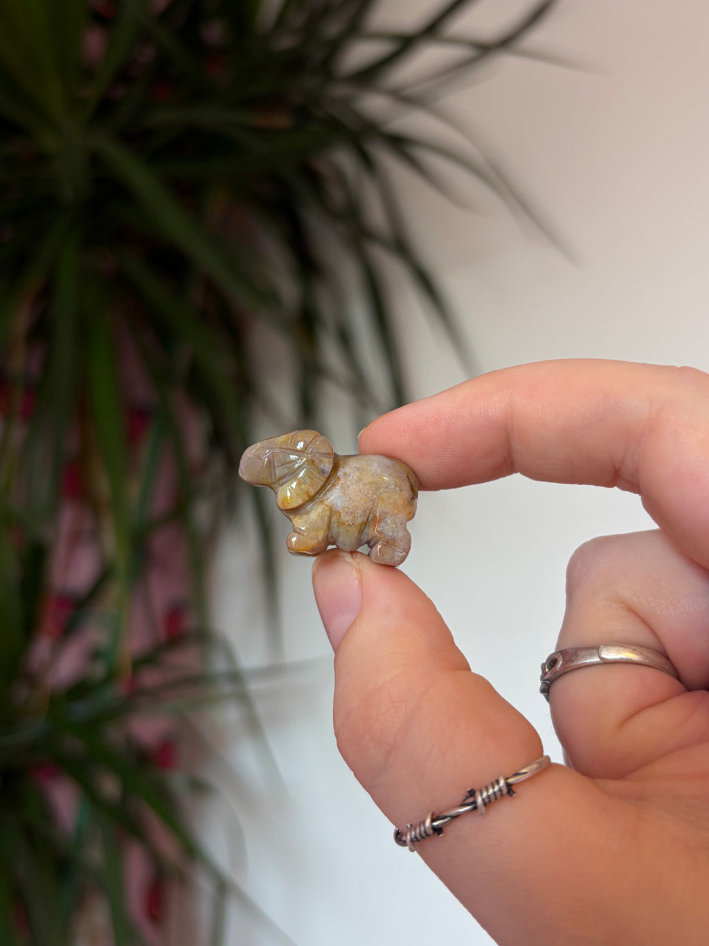 Mini Sea Jasper Rams