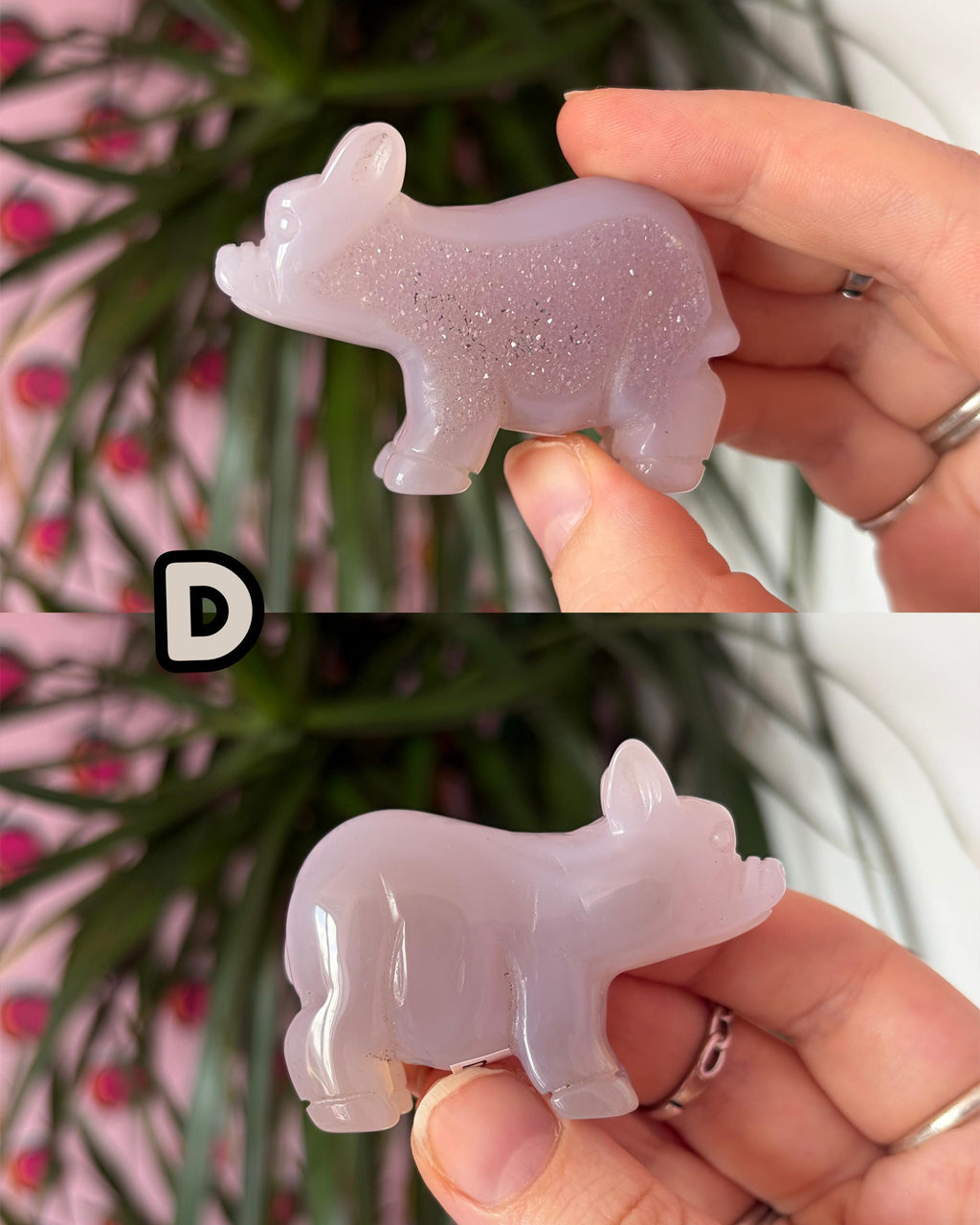Druzy Agate Pigs