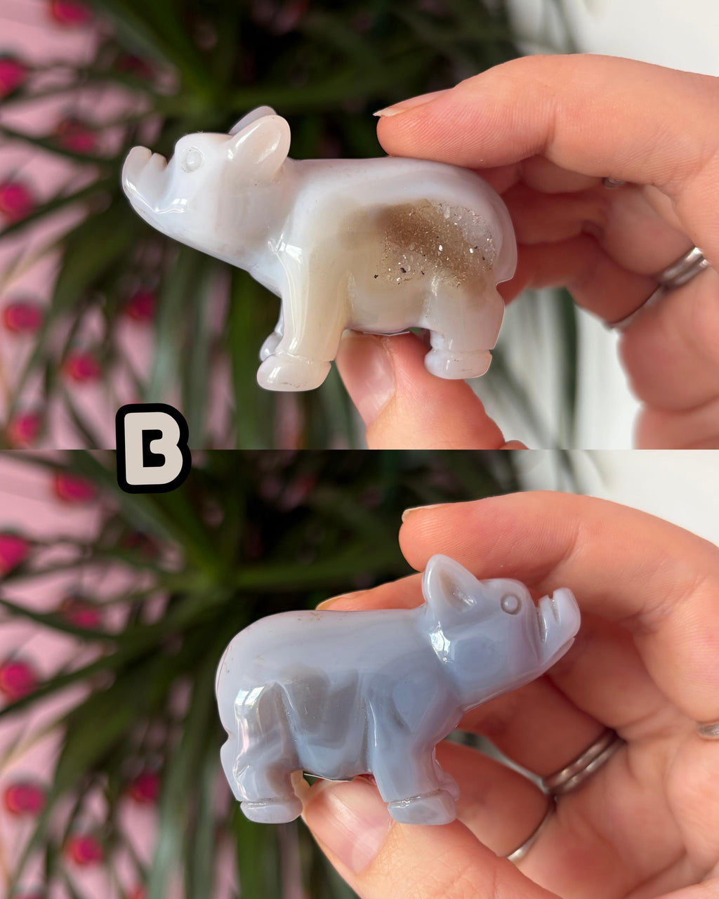 Druzy Agate Pigs