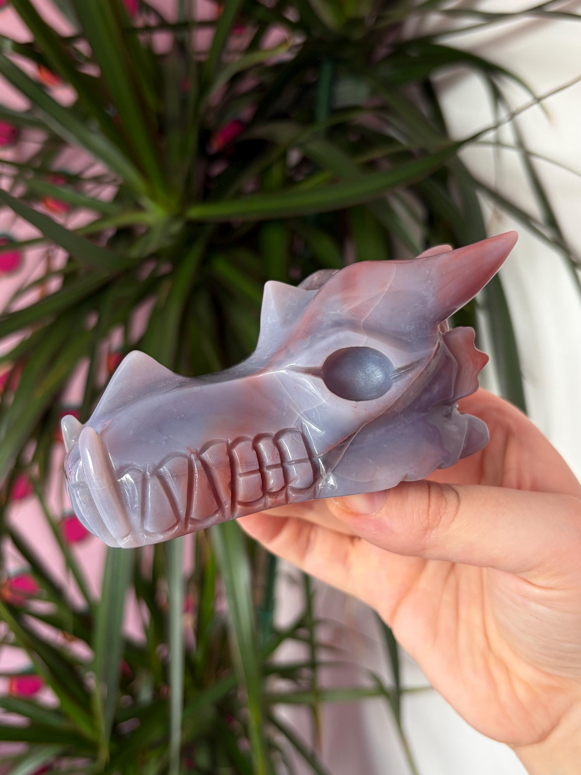 Sea Jasper Dragon Skull