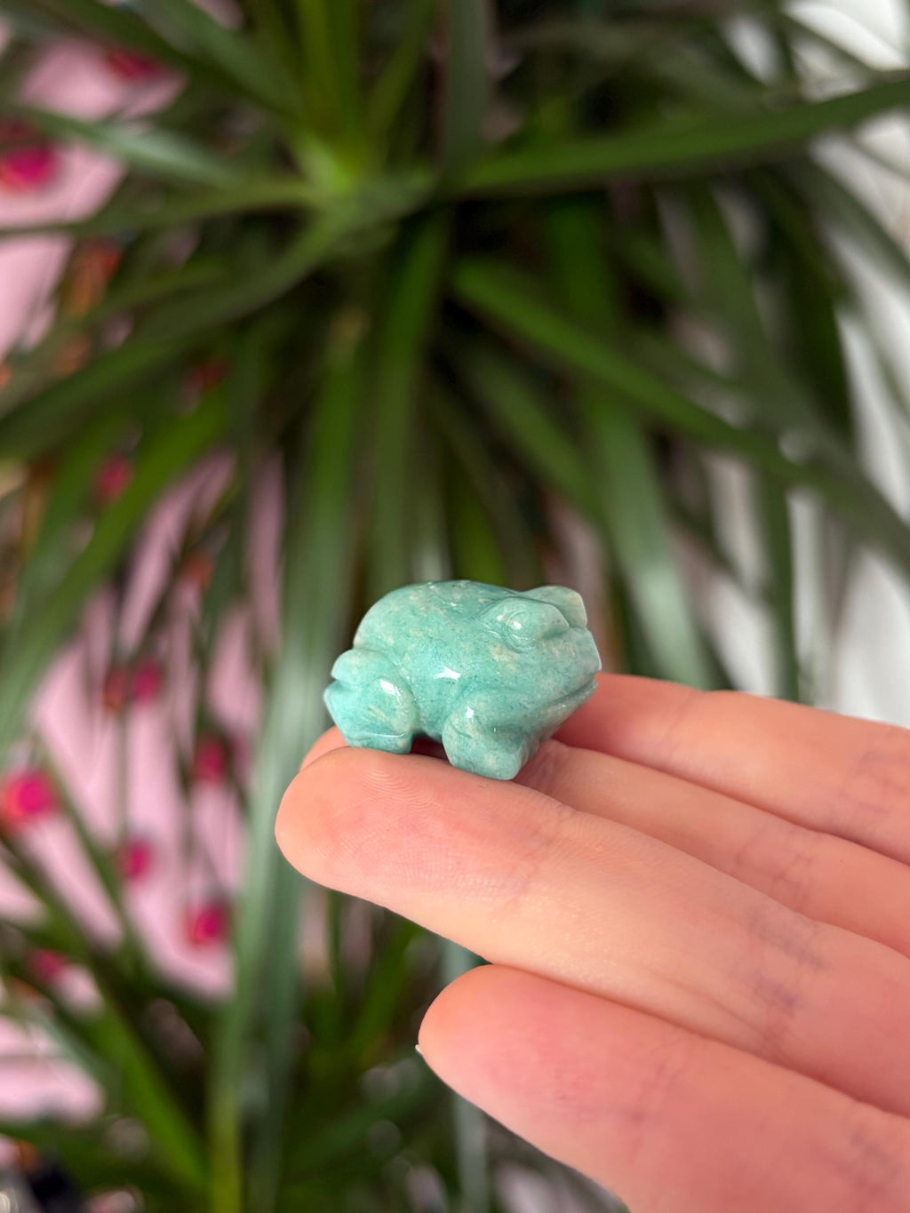Mini Amazonite Frogs