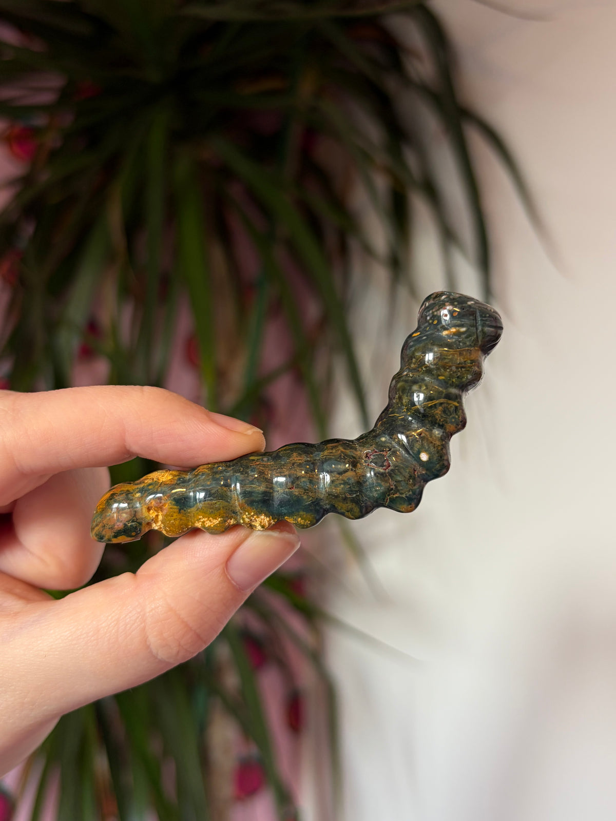 Ocean Jasper caterpillar