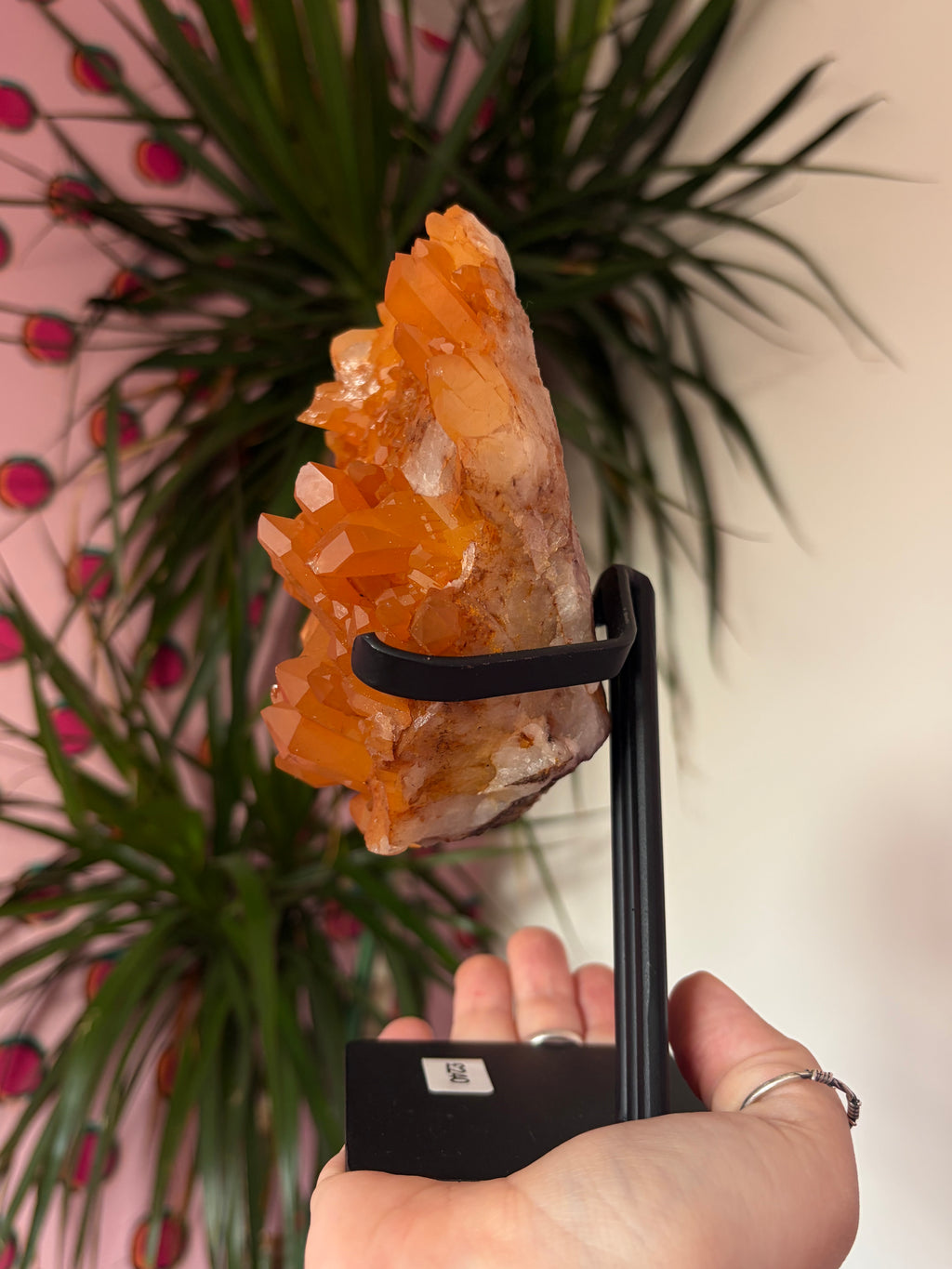 Tangerine Quartz on stand