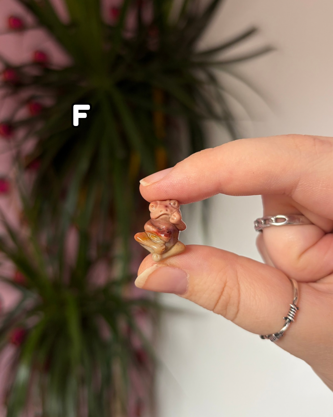 Tiny Alashan Agate Frogs