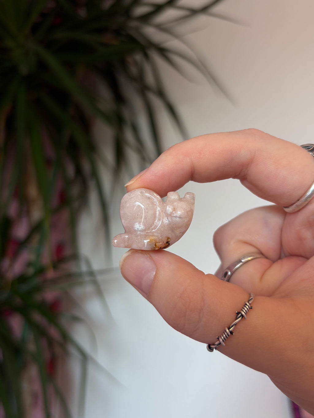 Mini Flower Agate Snails