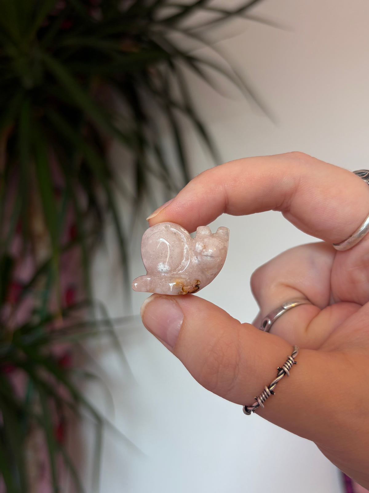 Mini Flower Agate Snails
