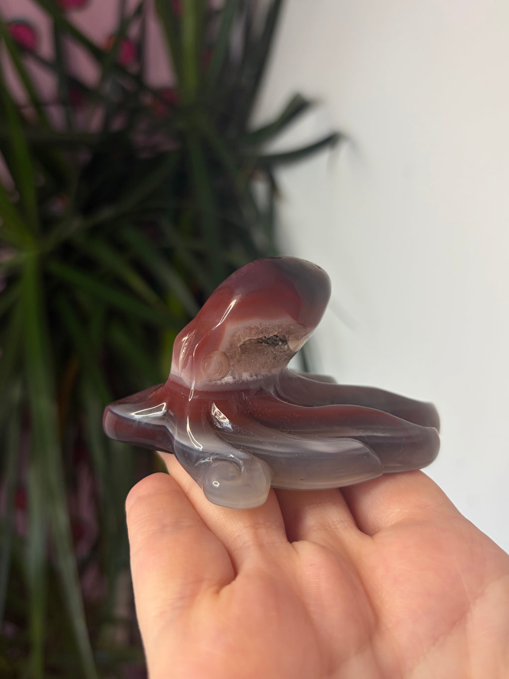 Mozambique Agate Octopus