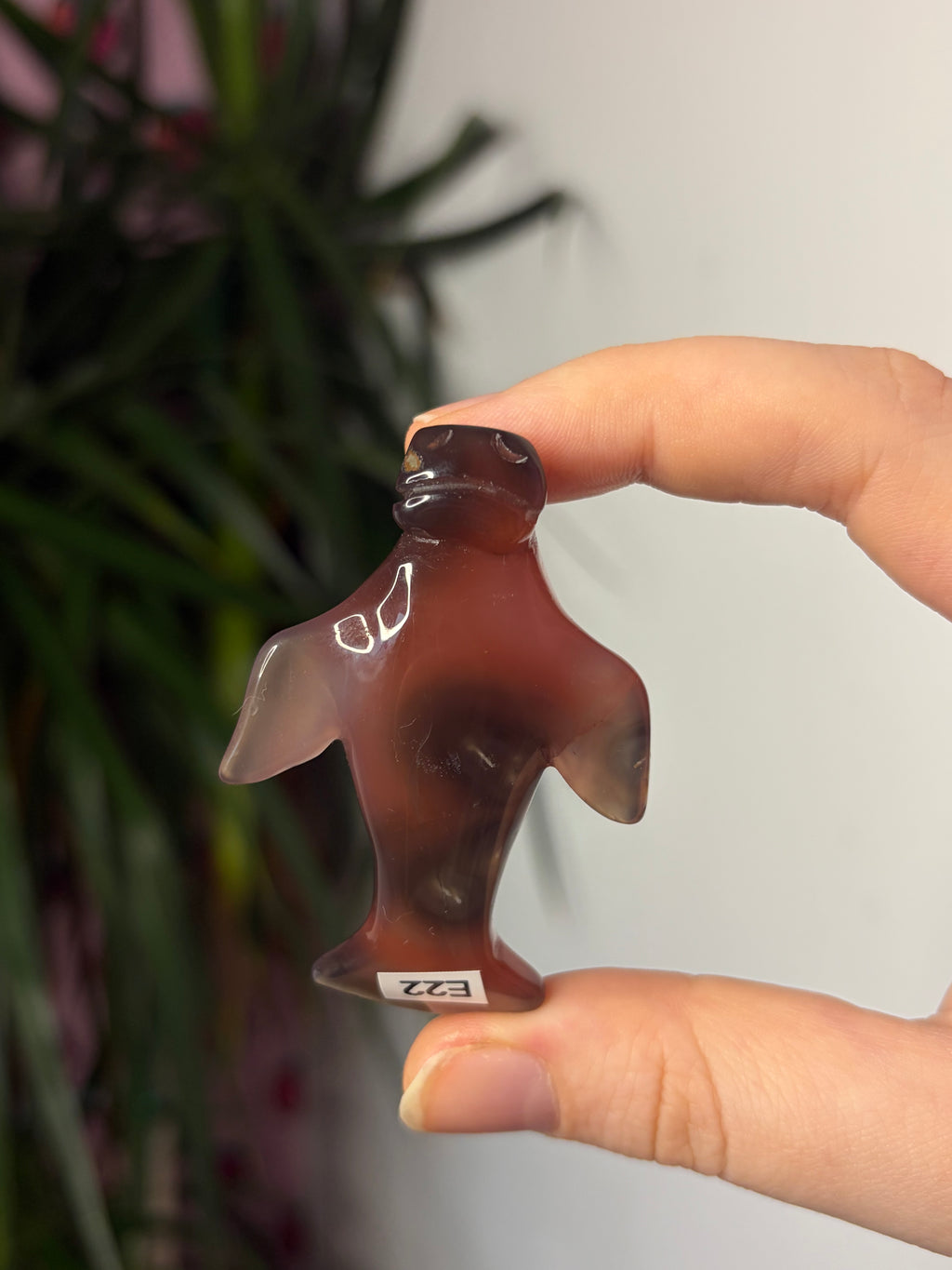Mozambique Agate Manatee
