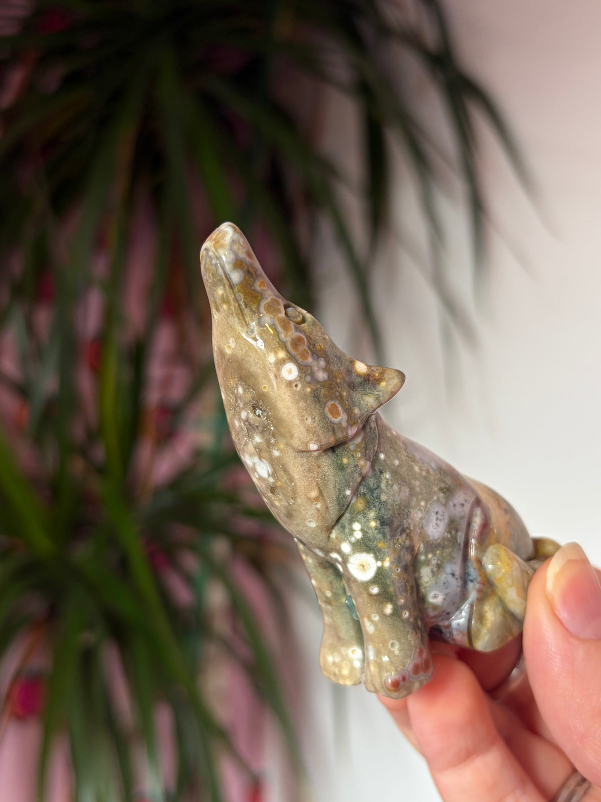 Ocean Jasper Howling Wolf