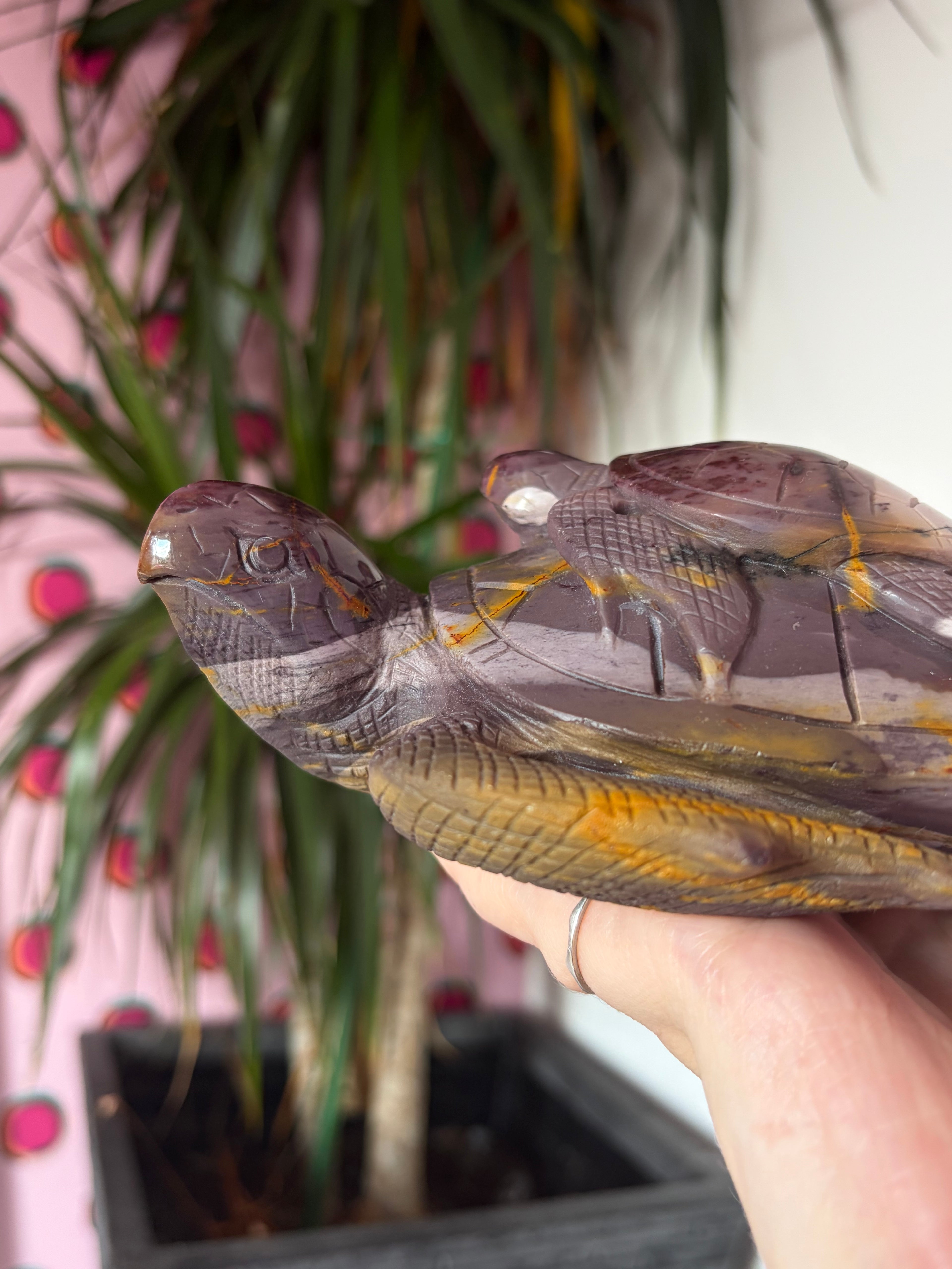 Big Mookaite Turtle on Custom stand