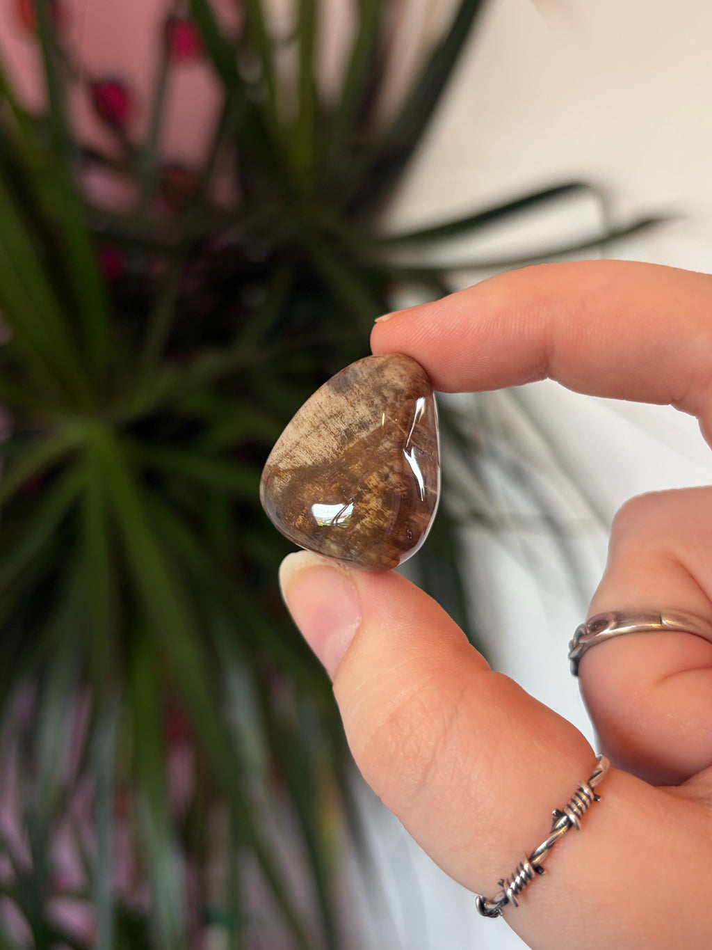Fossil Wood Tumblestone