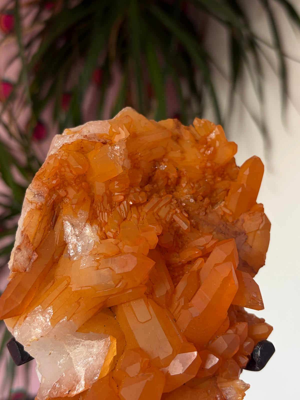 Tangerine Quartz on stand