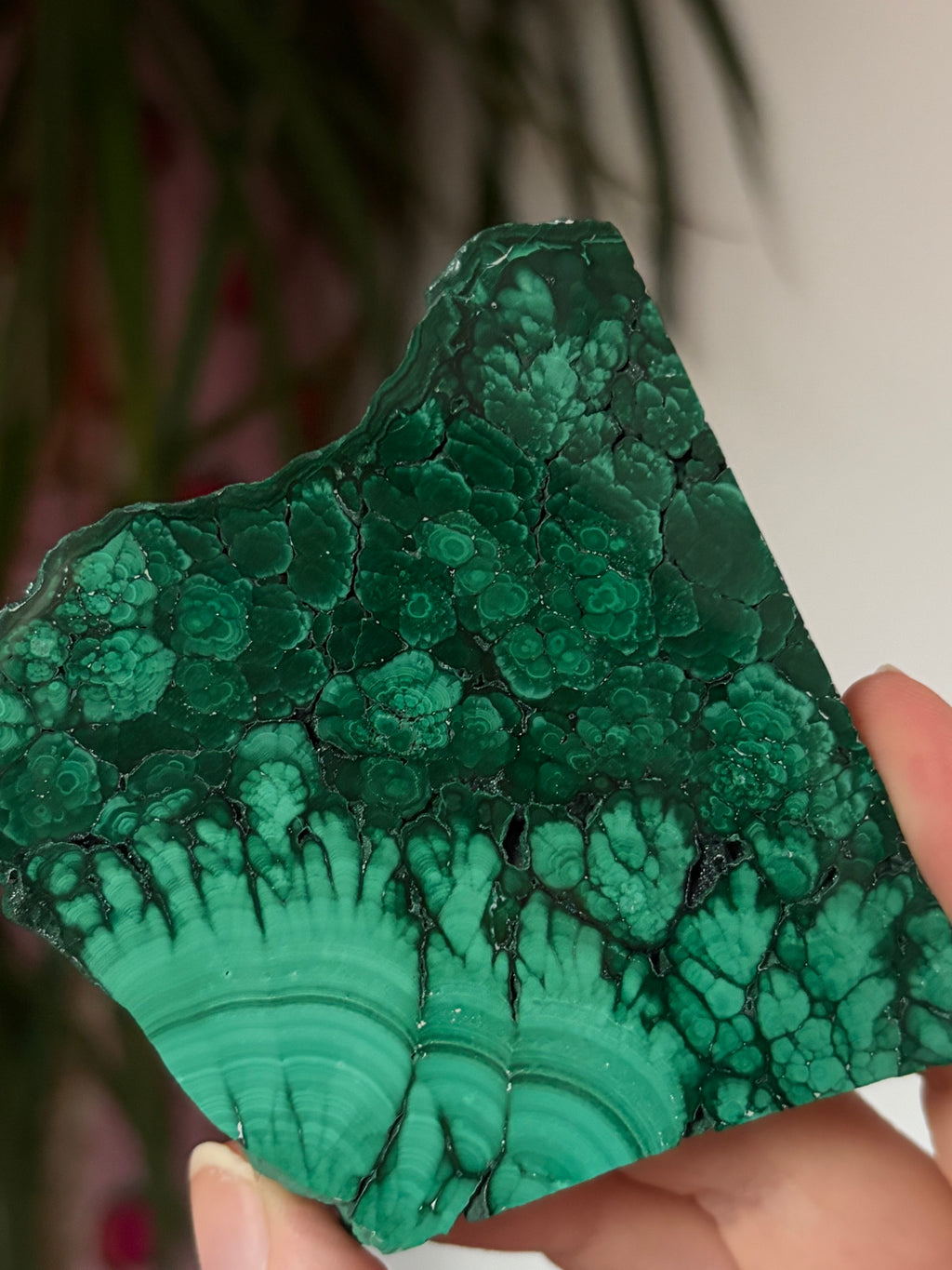 High Quality Malachite Slab