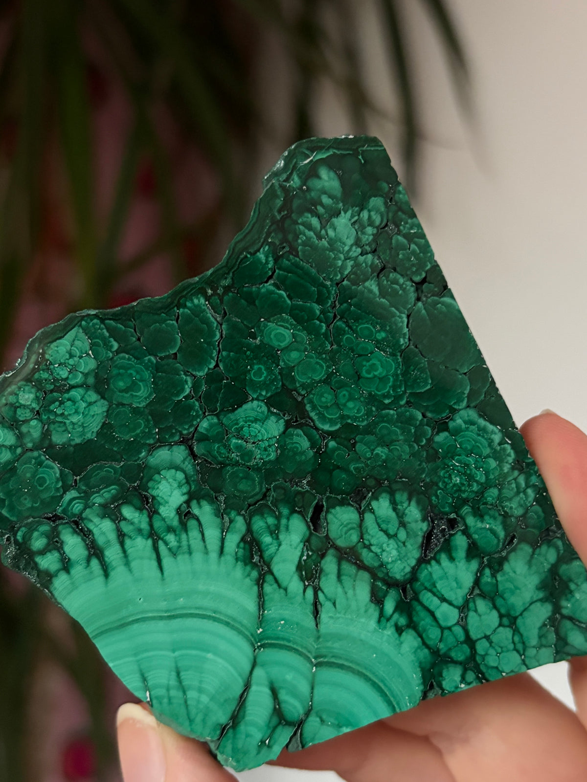 High Quality Malachite Slab