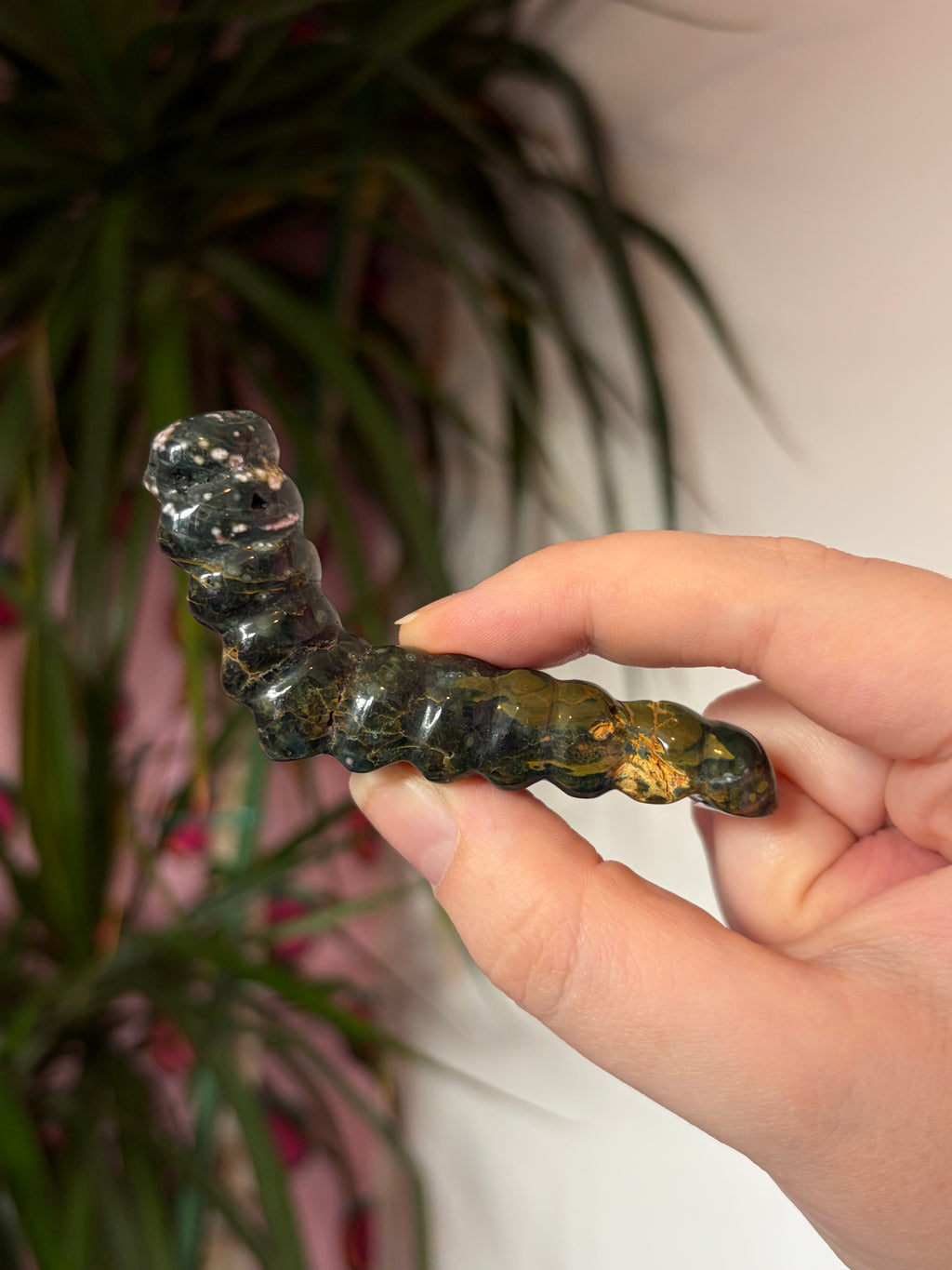 Ocean Jasper caterpillar