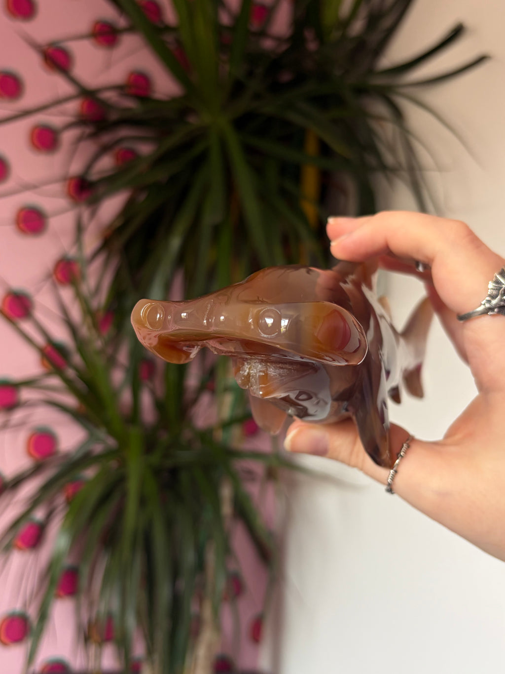 Agate Hammerhead Shark