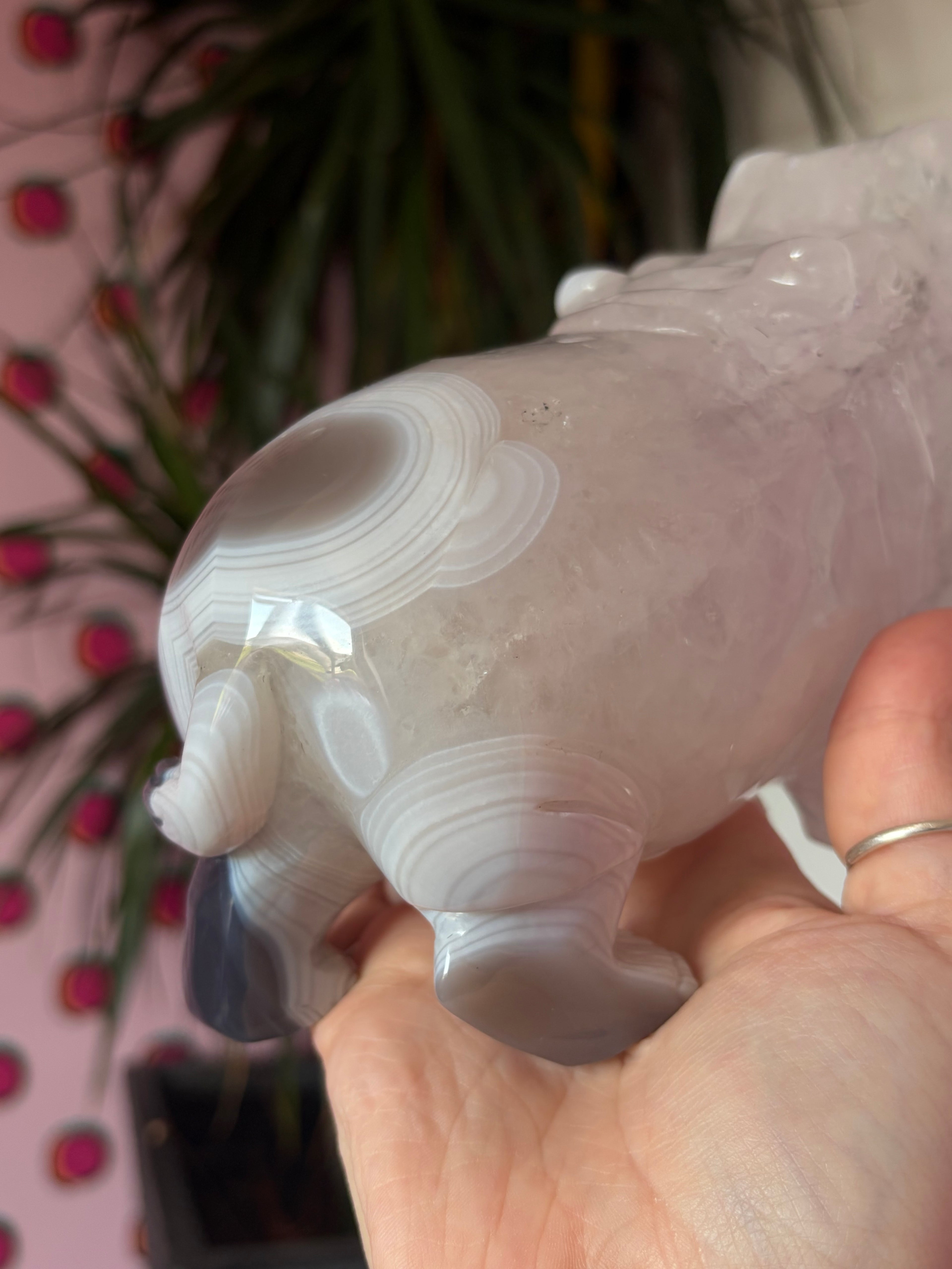 Druzy Agate Hippo