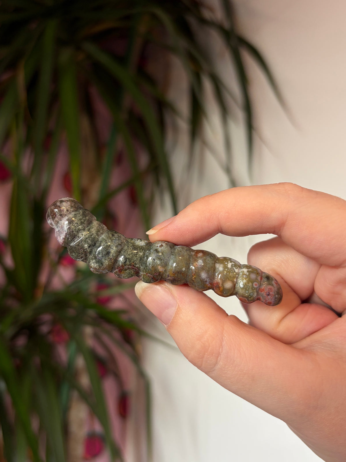 Ocean Jasper caterpillar
