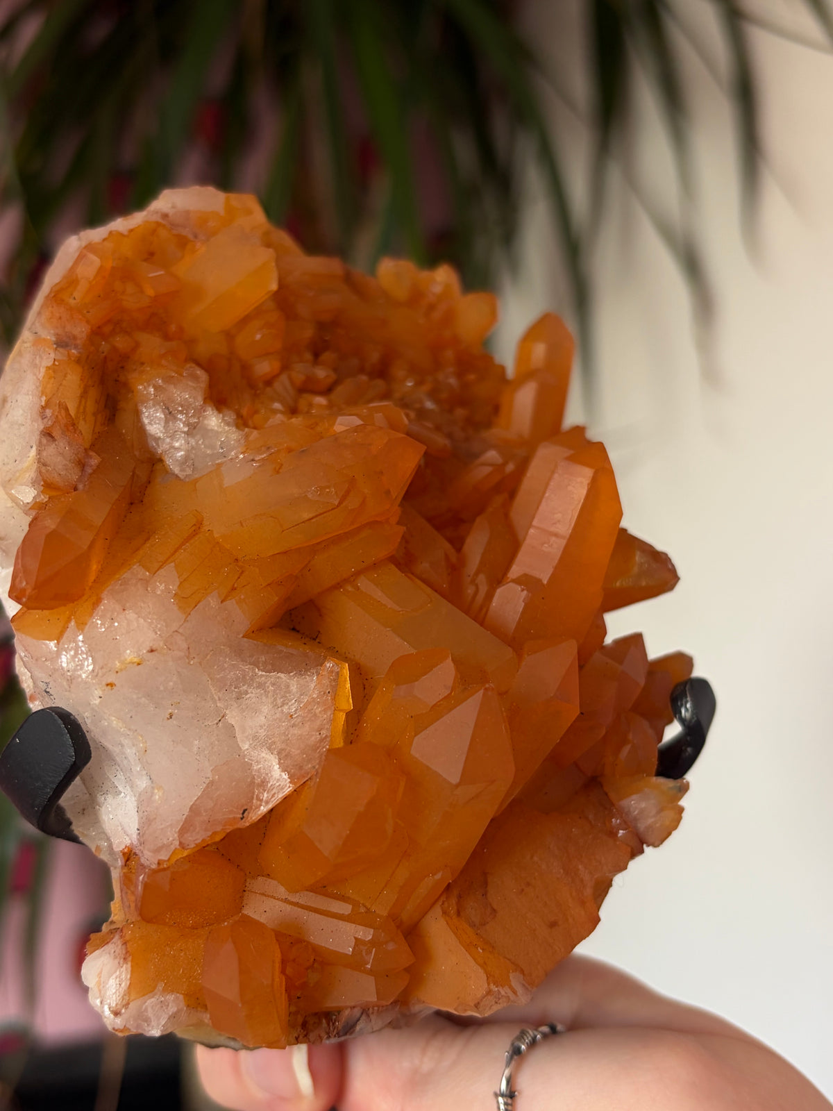 Tangerine Quartz on stand