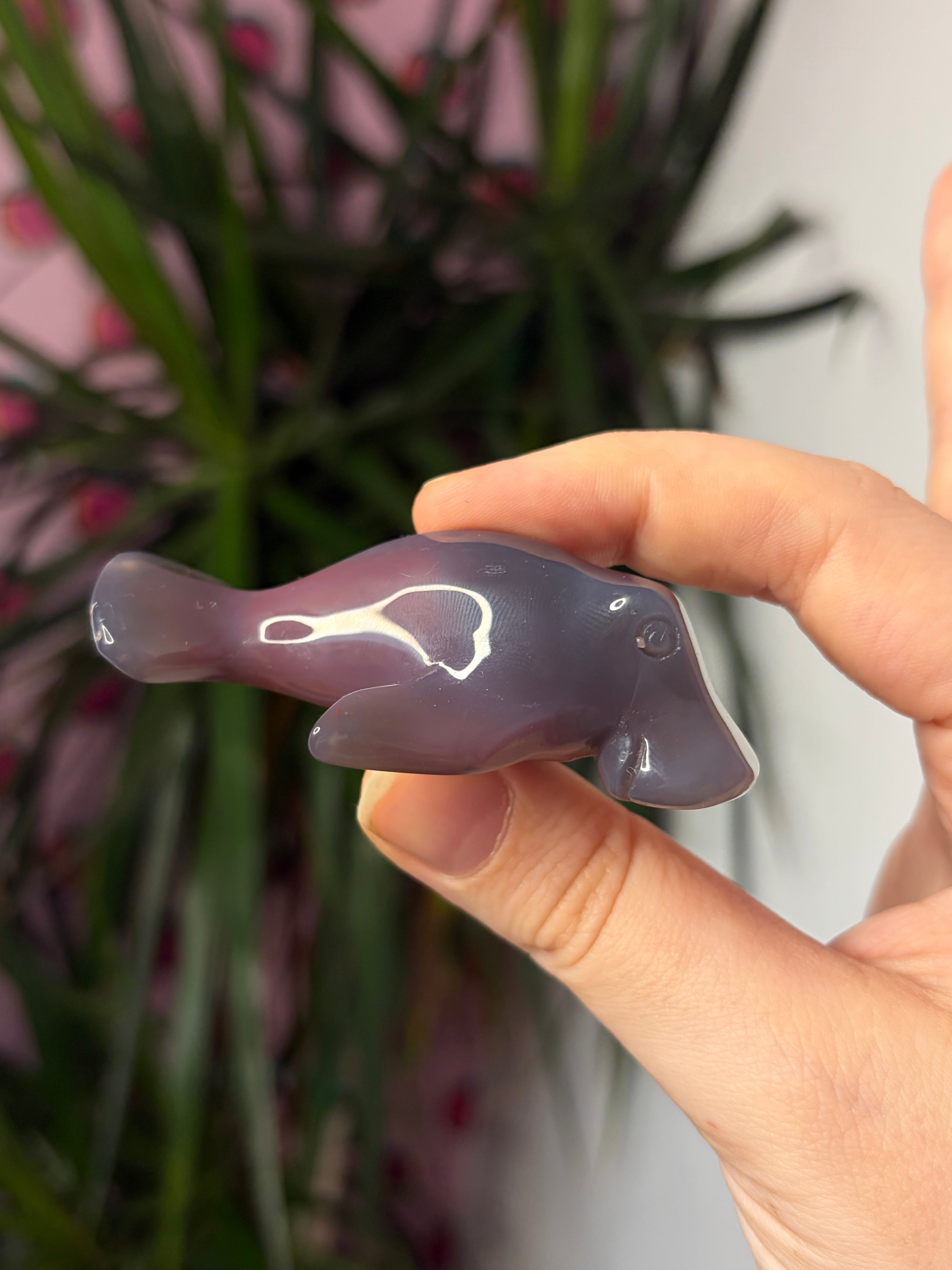 Mozambique Agate Manatee