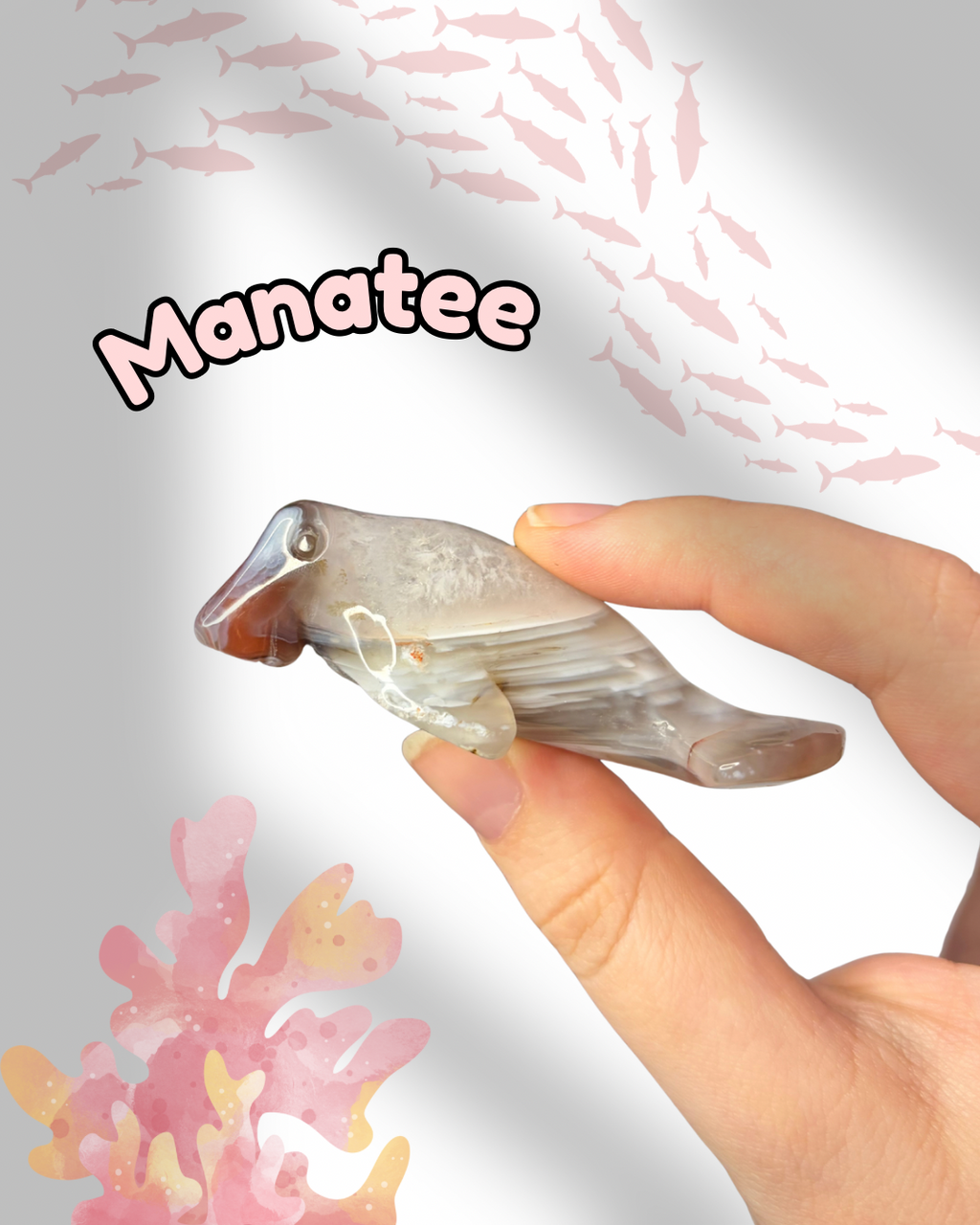 Mozambique Agate Manatee