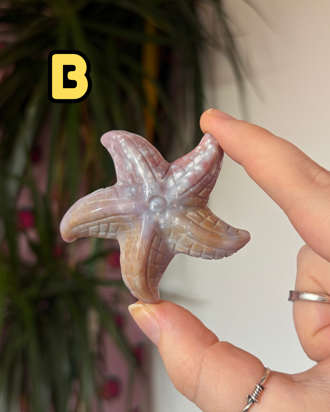 Sea Jasper Starfish